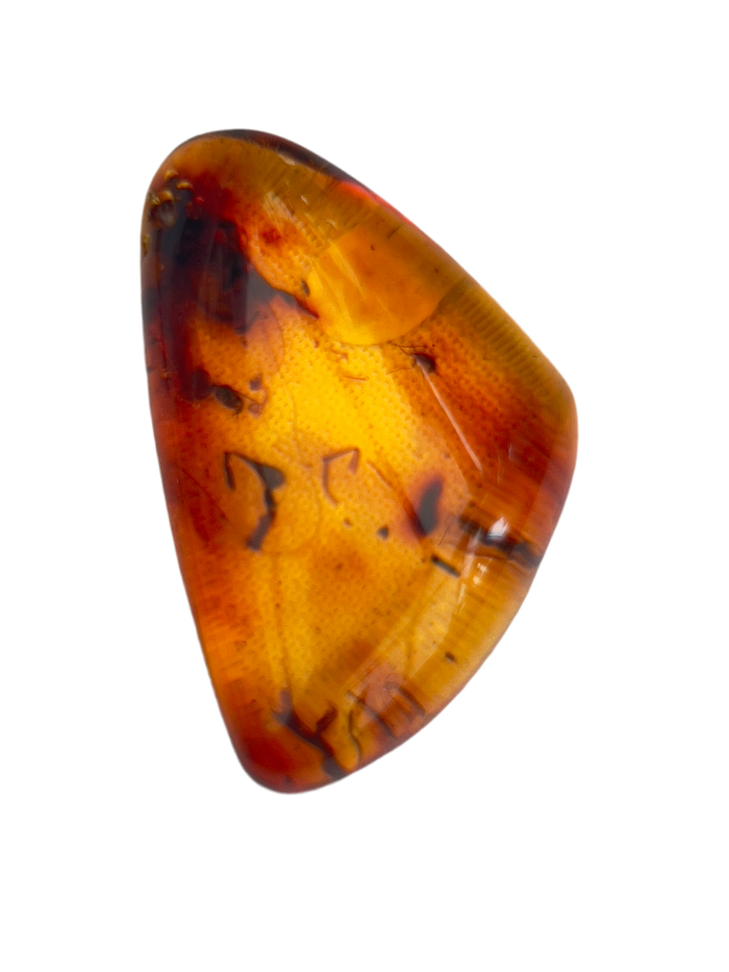 Hand polished amber with insect and plant inclusions