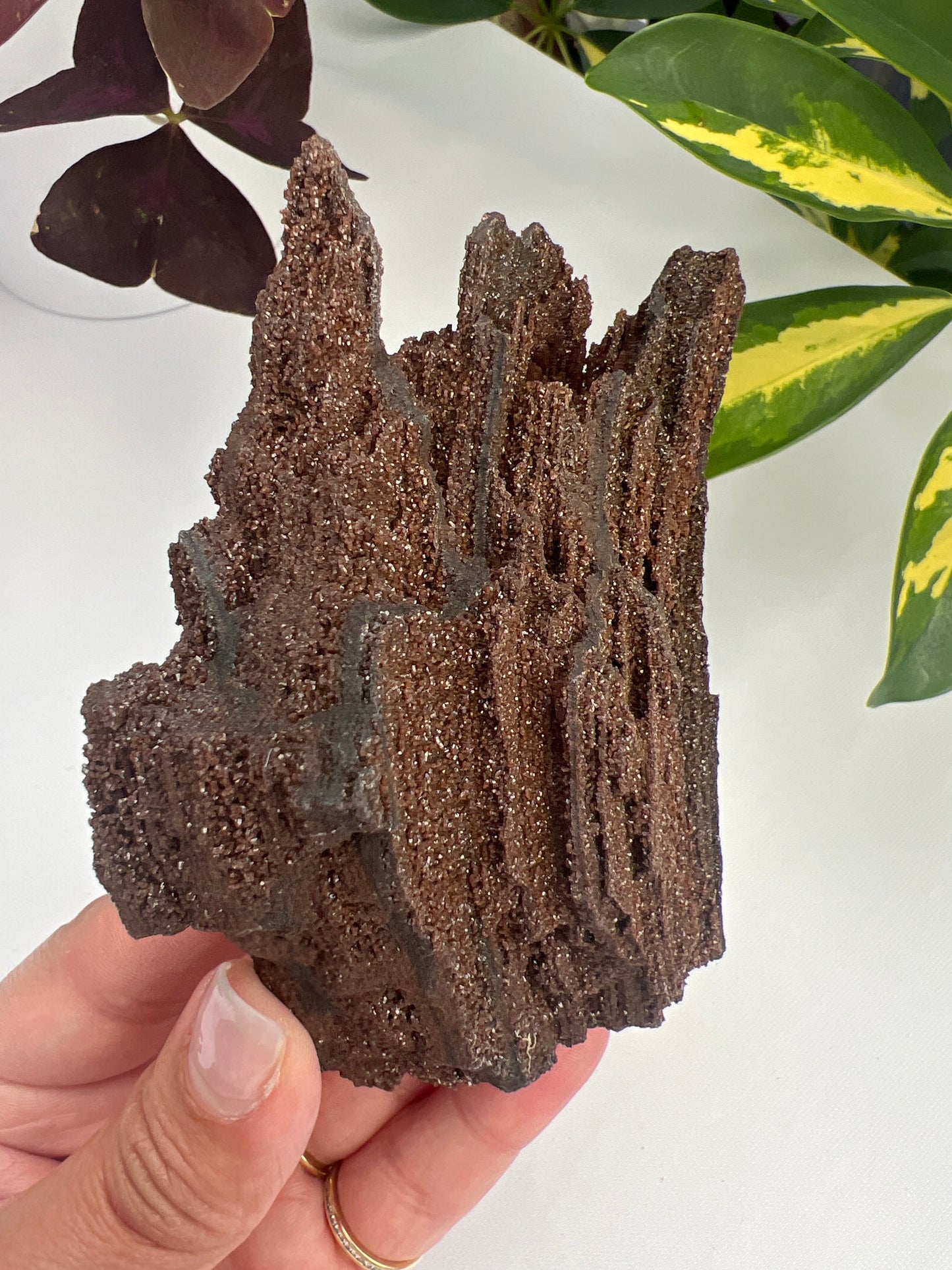 Permineralised fossil wood with micro quartz crystals