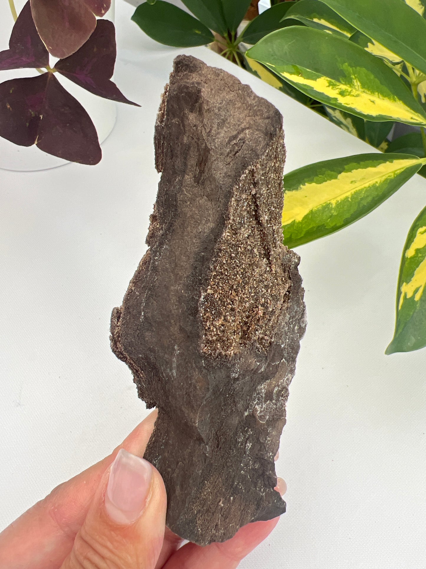 Permineralised fossil wood with micro quartz crystals