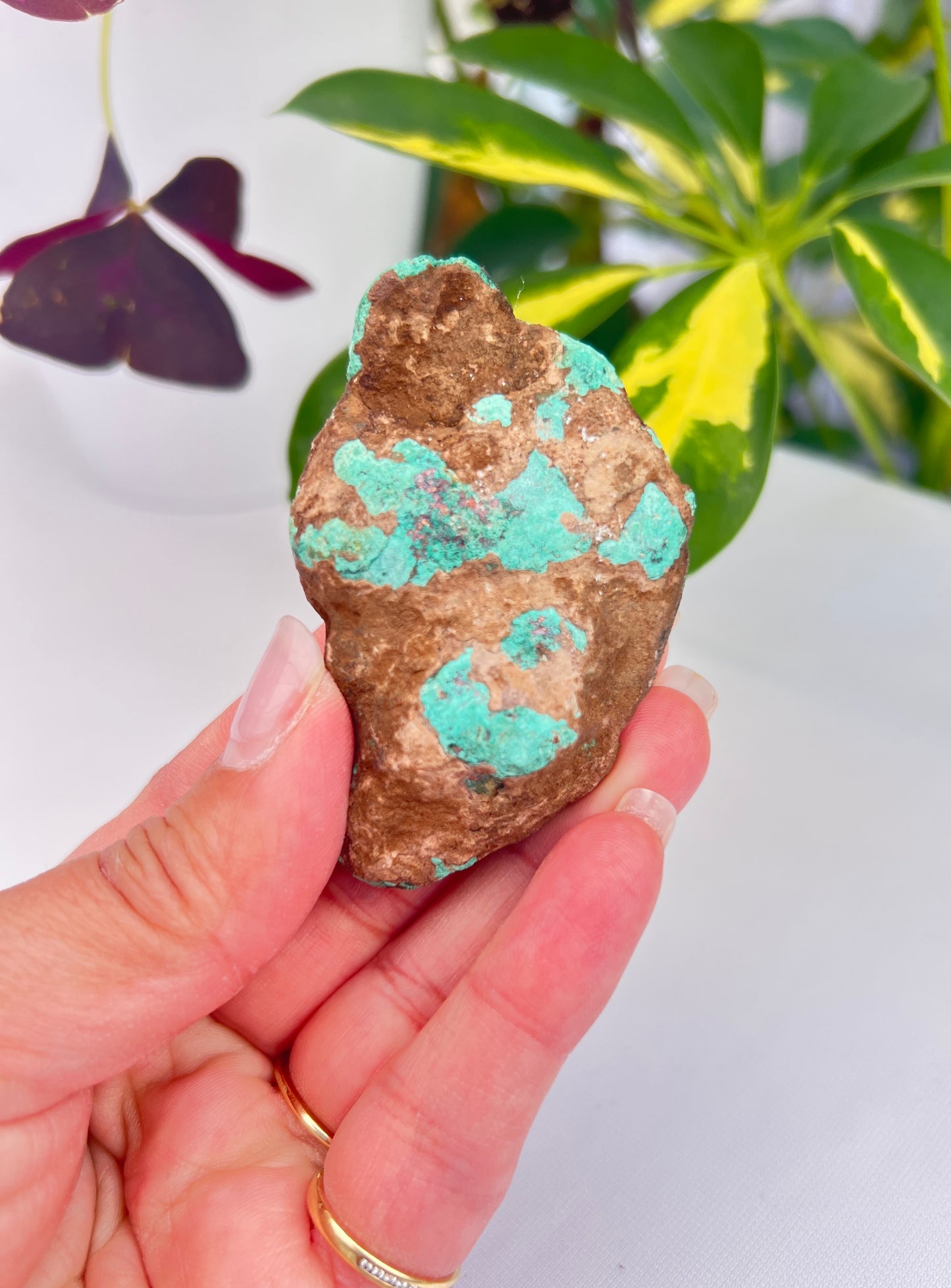 Part polished copper with cuprite from Michigan