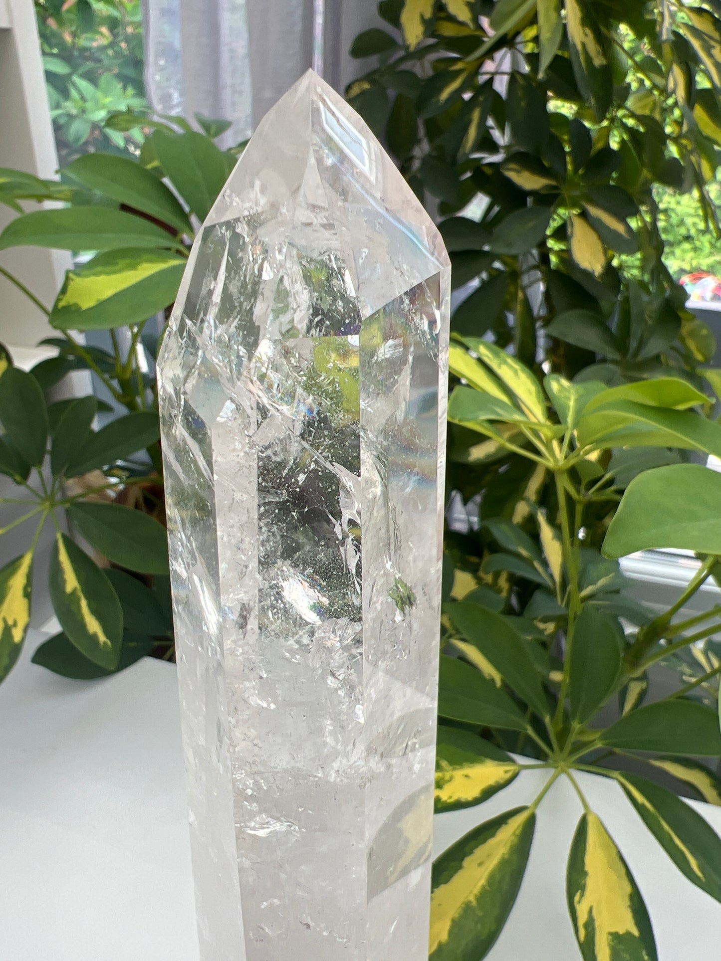 Clear polished lemurian quartz sceptre with black stand.