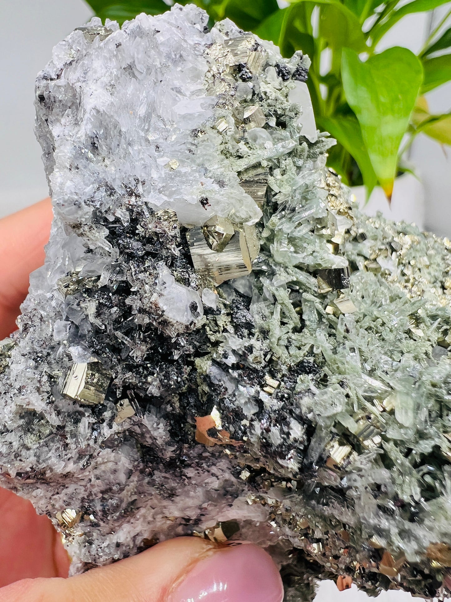 Pyrite, micro quartz and Galena with Chlorite Cluster