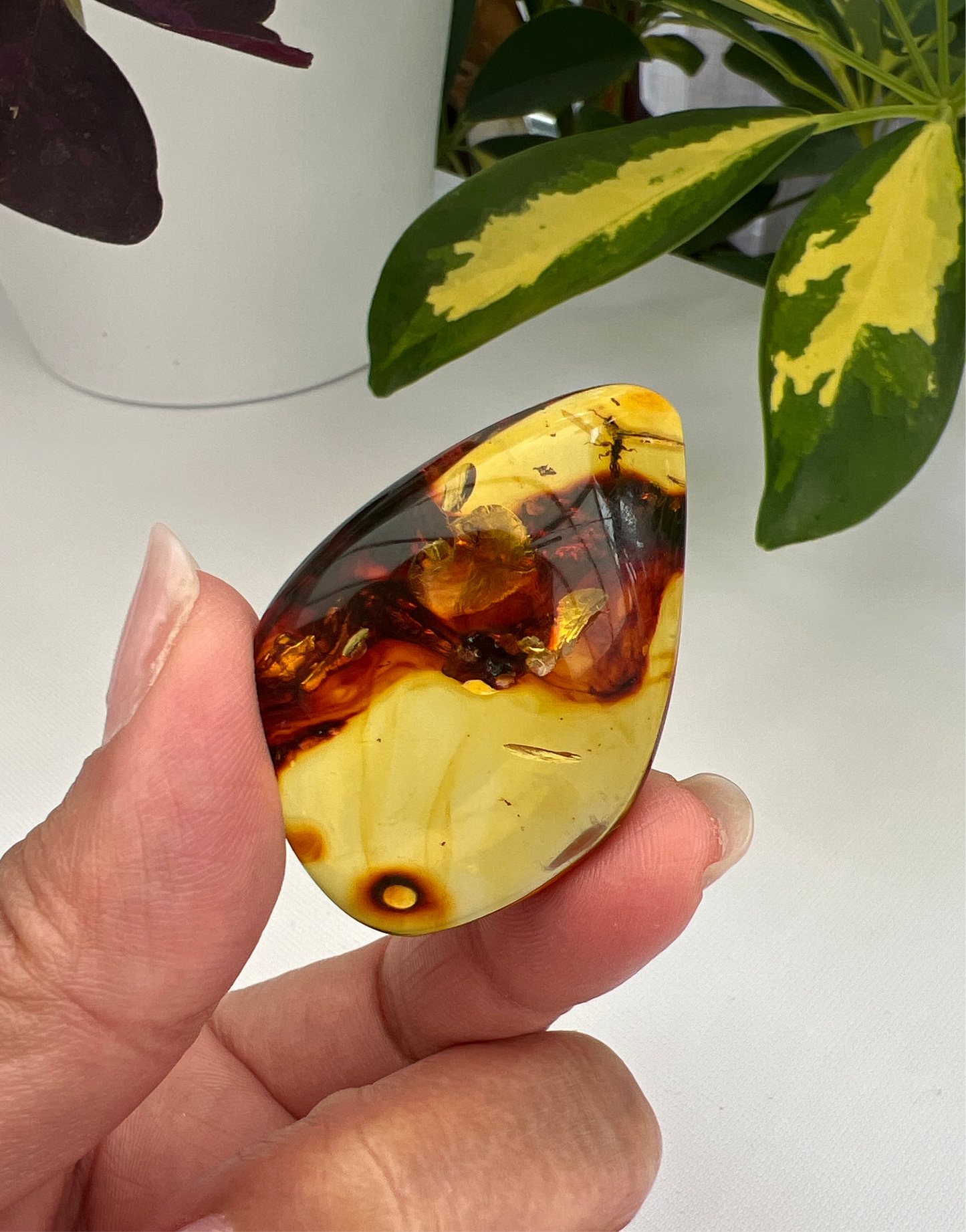Amber (Hand Polished)