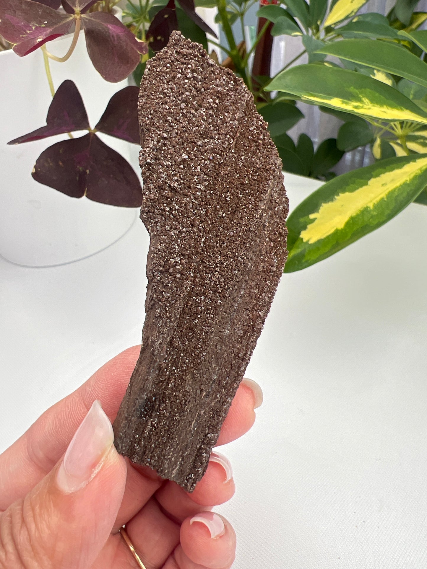 Permineralised fossil wood with micro quartz crystals