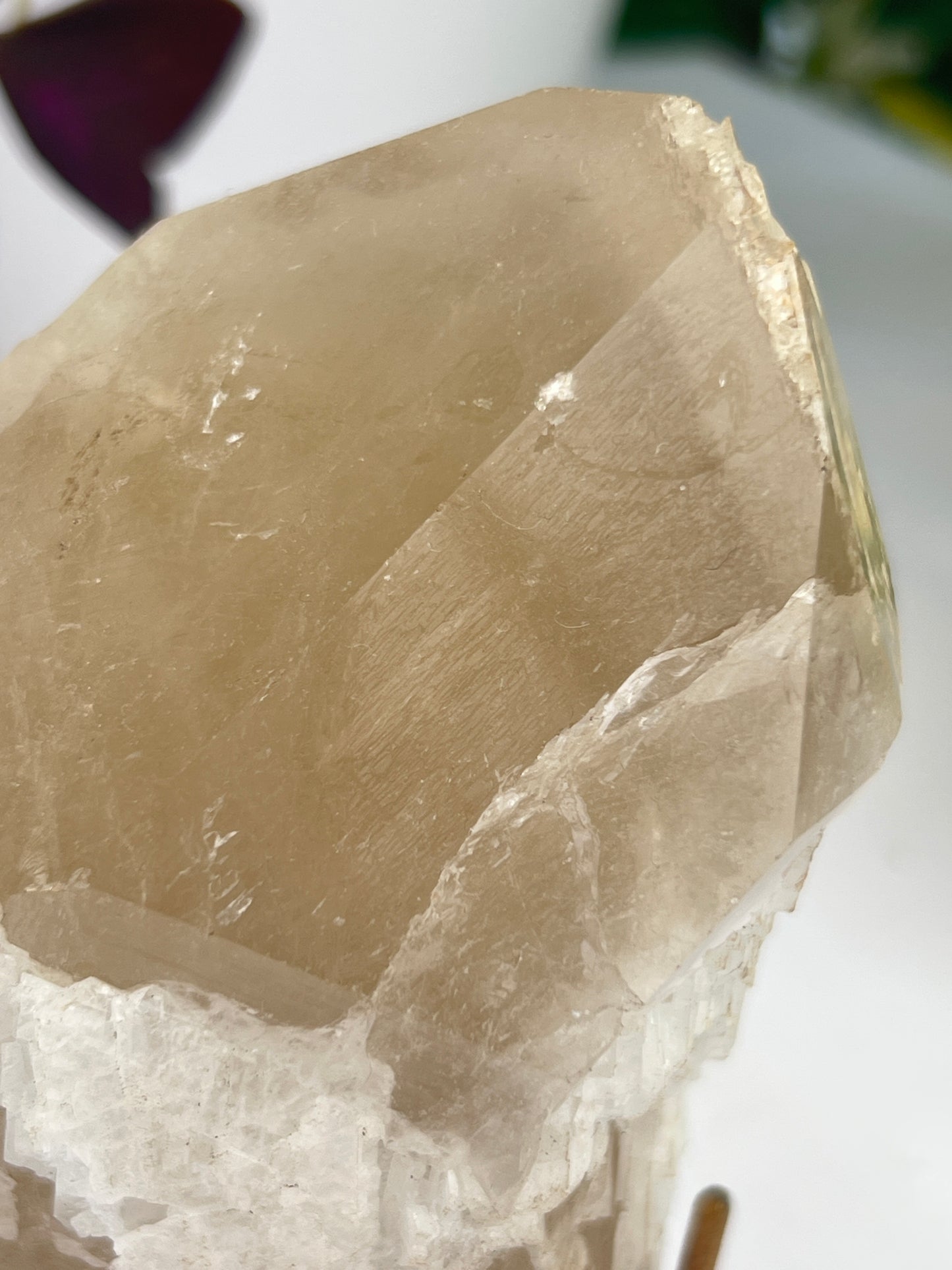 A natural unpolished citrine crystal with a gold stand, displaying pale honey to golden hues with albite and a hint of a phantom.