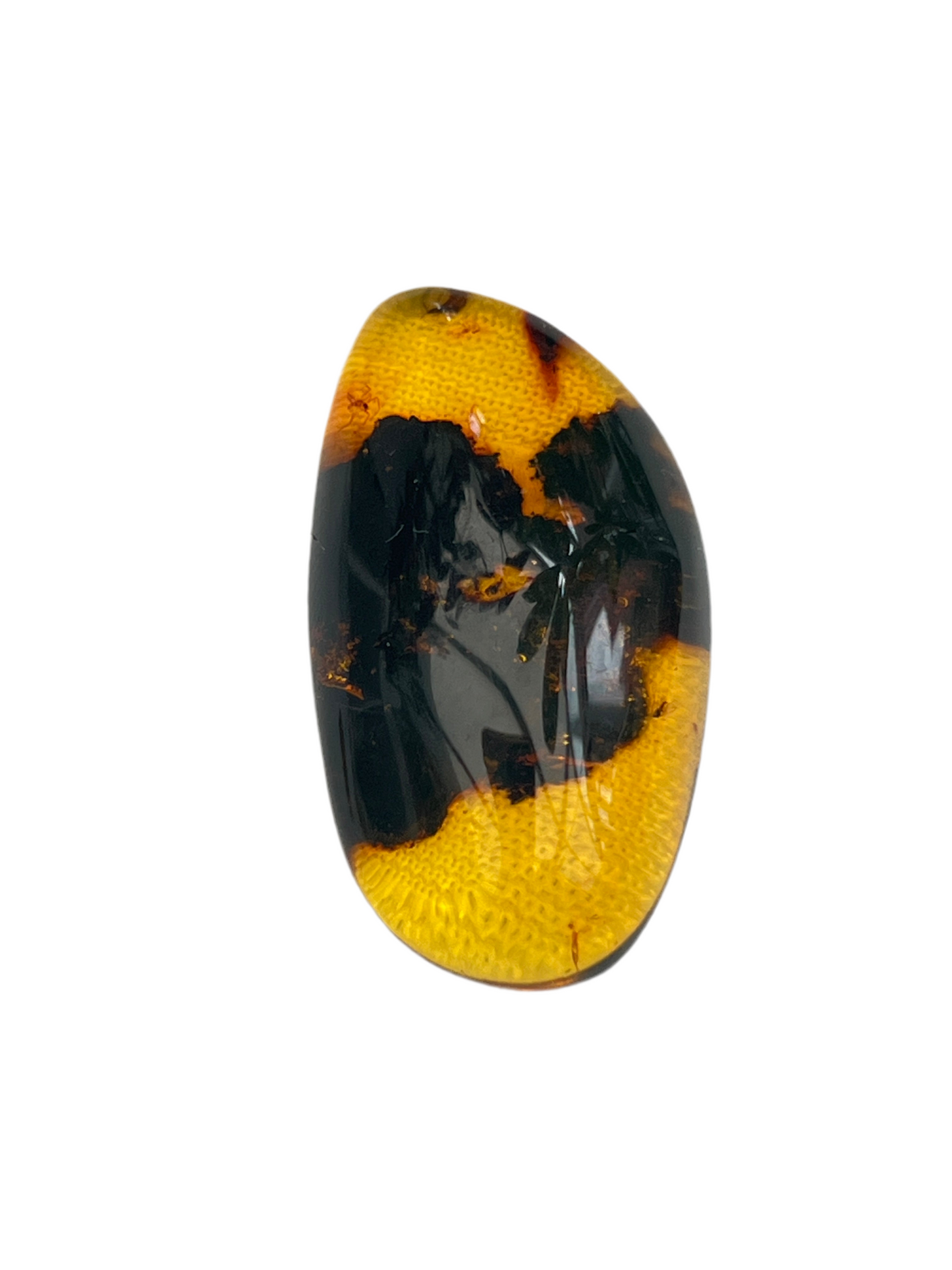 Hand polished amber with plant inclusions