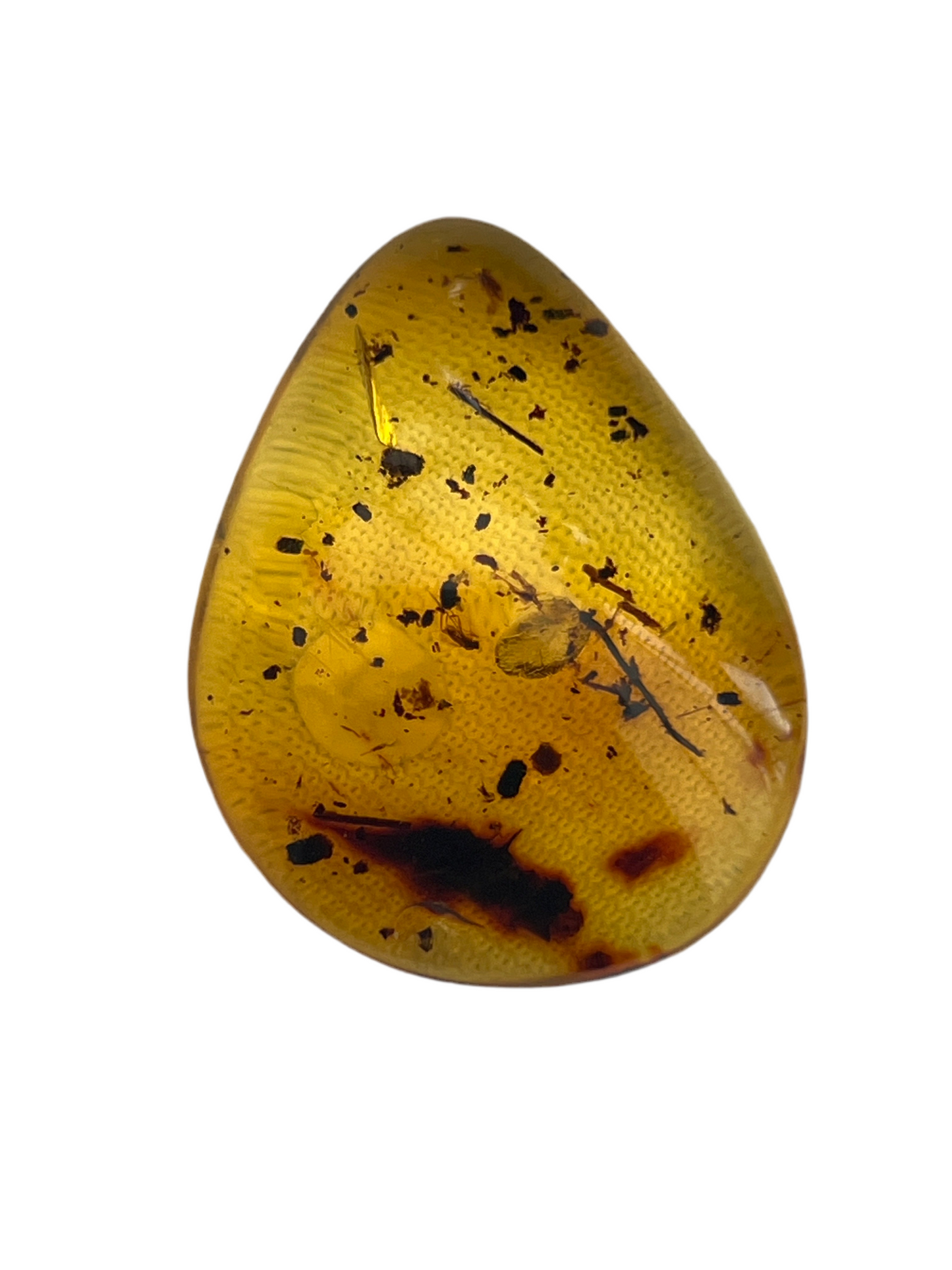 Hand polished amber with plant inclusions