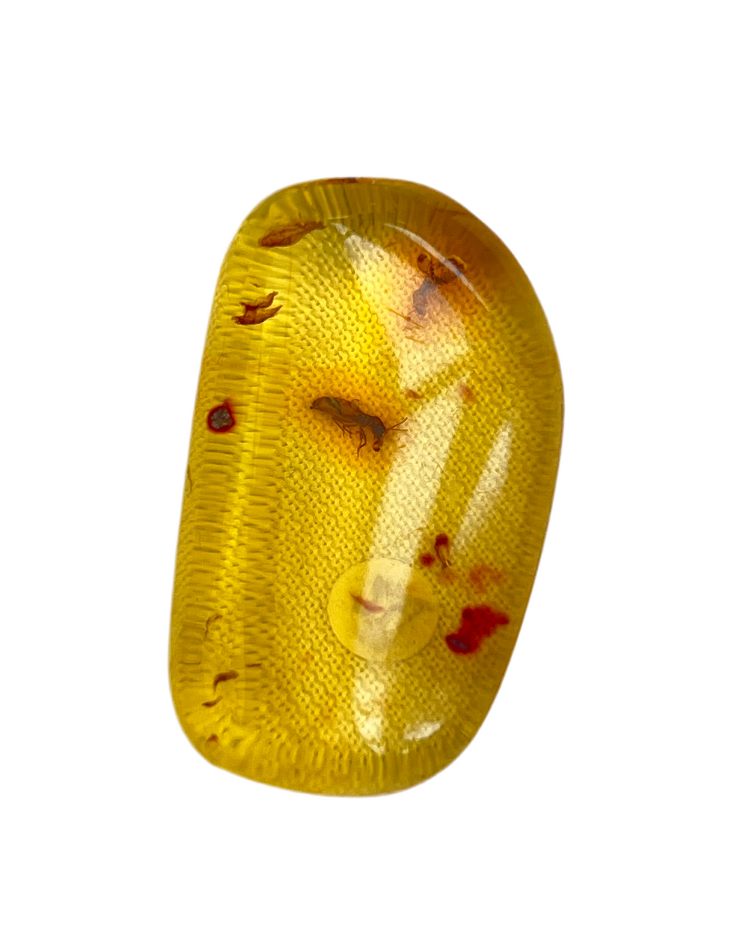 Hand polished amber with insect inclusions