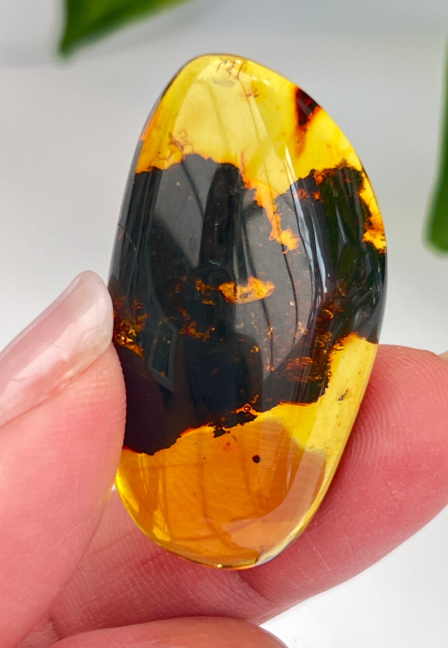 Amber (Hand Polished)
