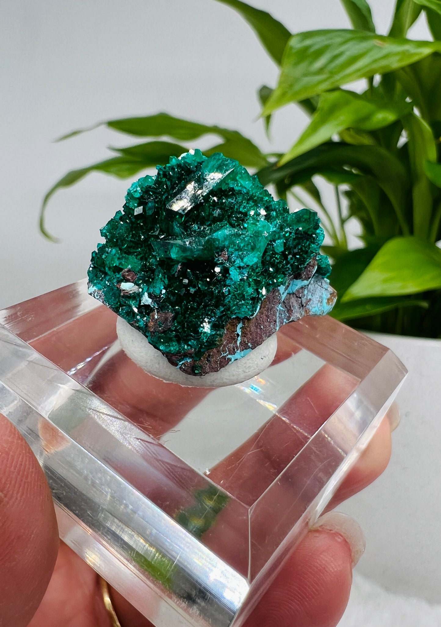 Gemmy green dioptase on blue plancheite from Sanda, South Eastern Republic of Congo.