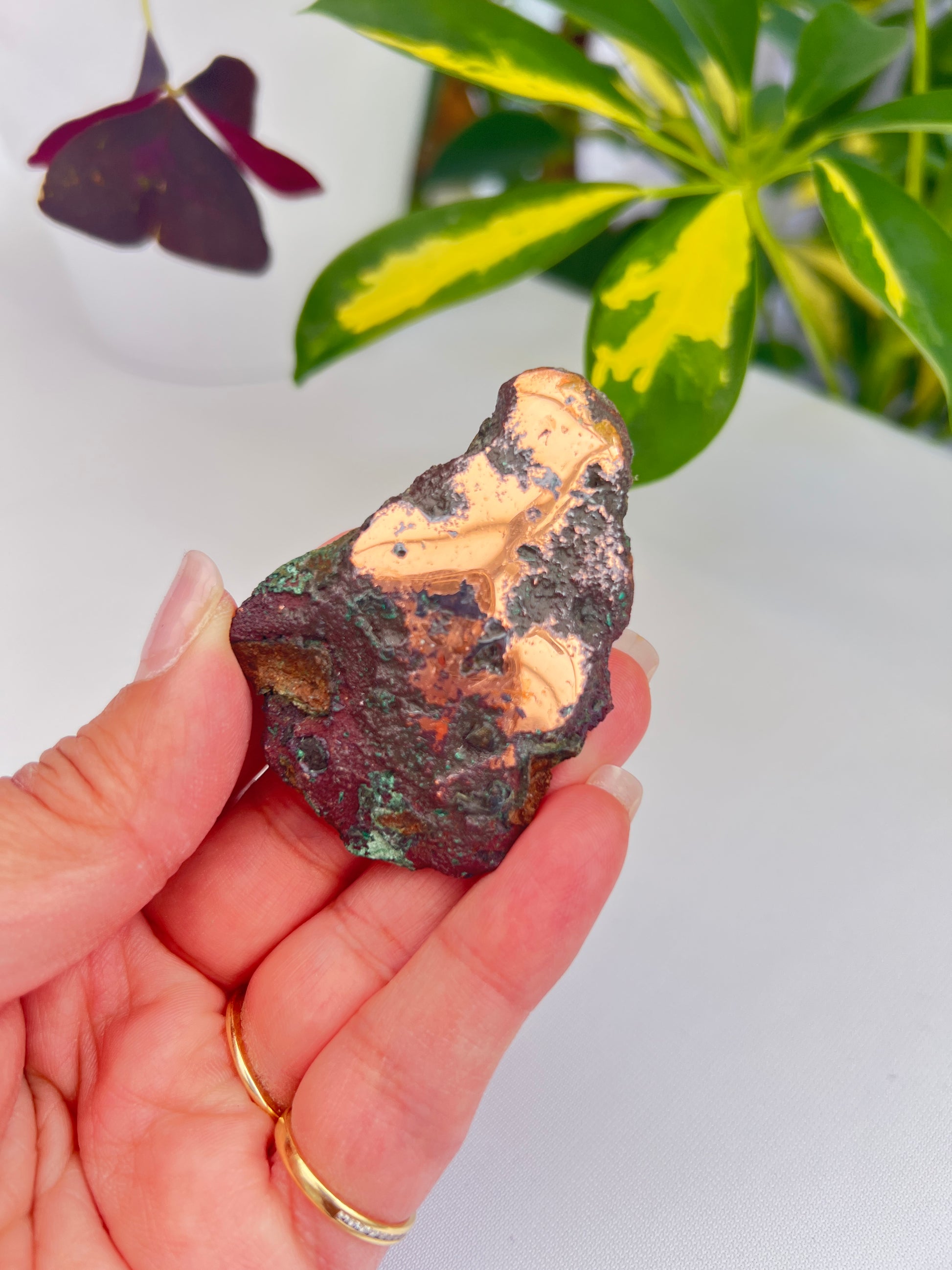 Part polished copper with cuprite from Michigan