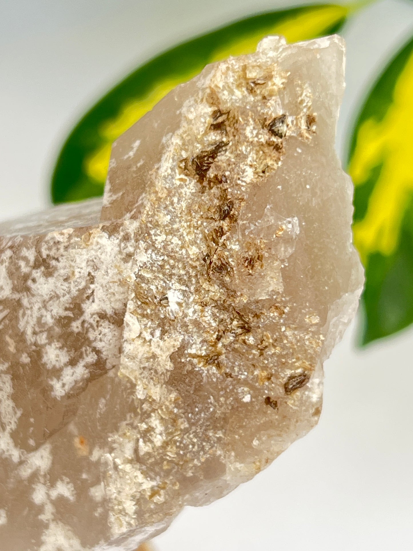 A natural unpolished citrine crystal with a gold stand, displaying pale honey to golden hues with mica and some albite