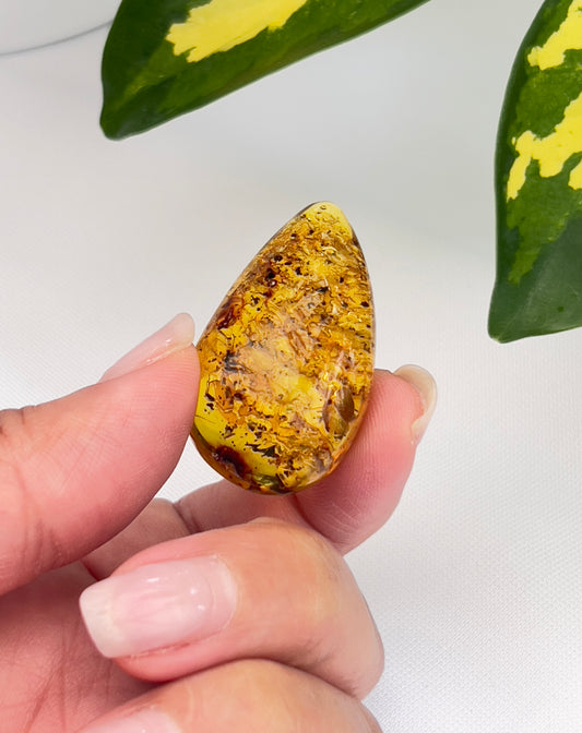 Amber (Hand Polished)