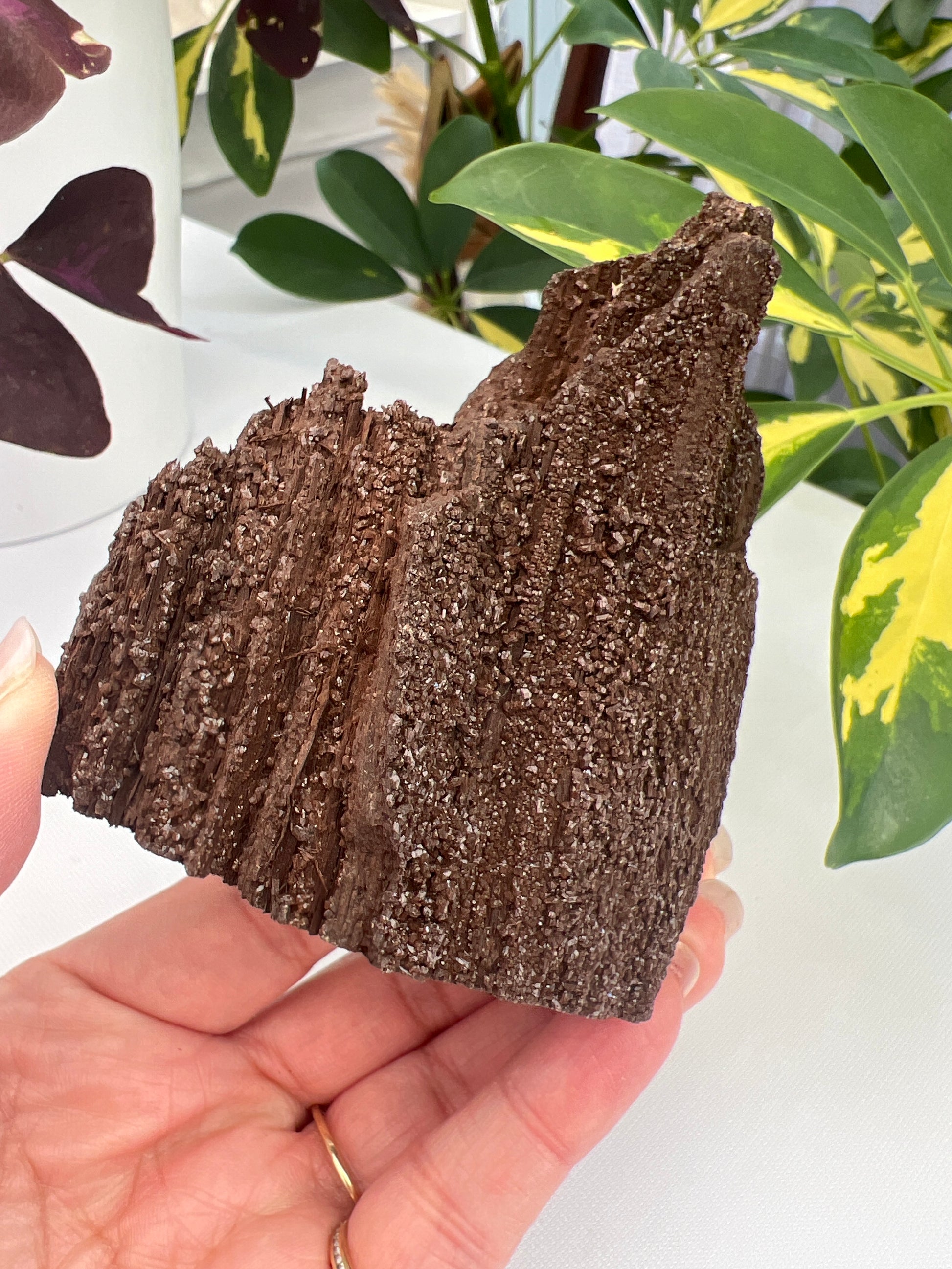 Permineralised fossil wood with micro quartz crystals