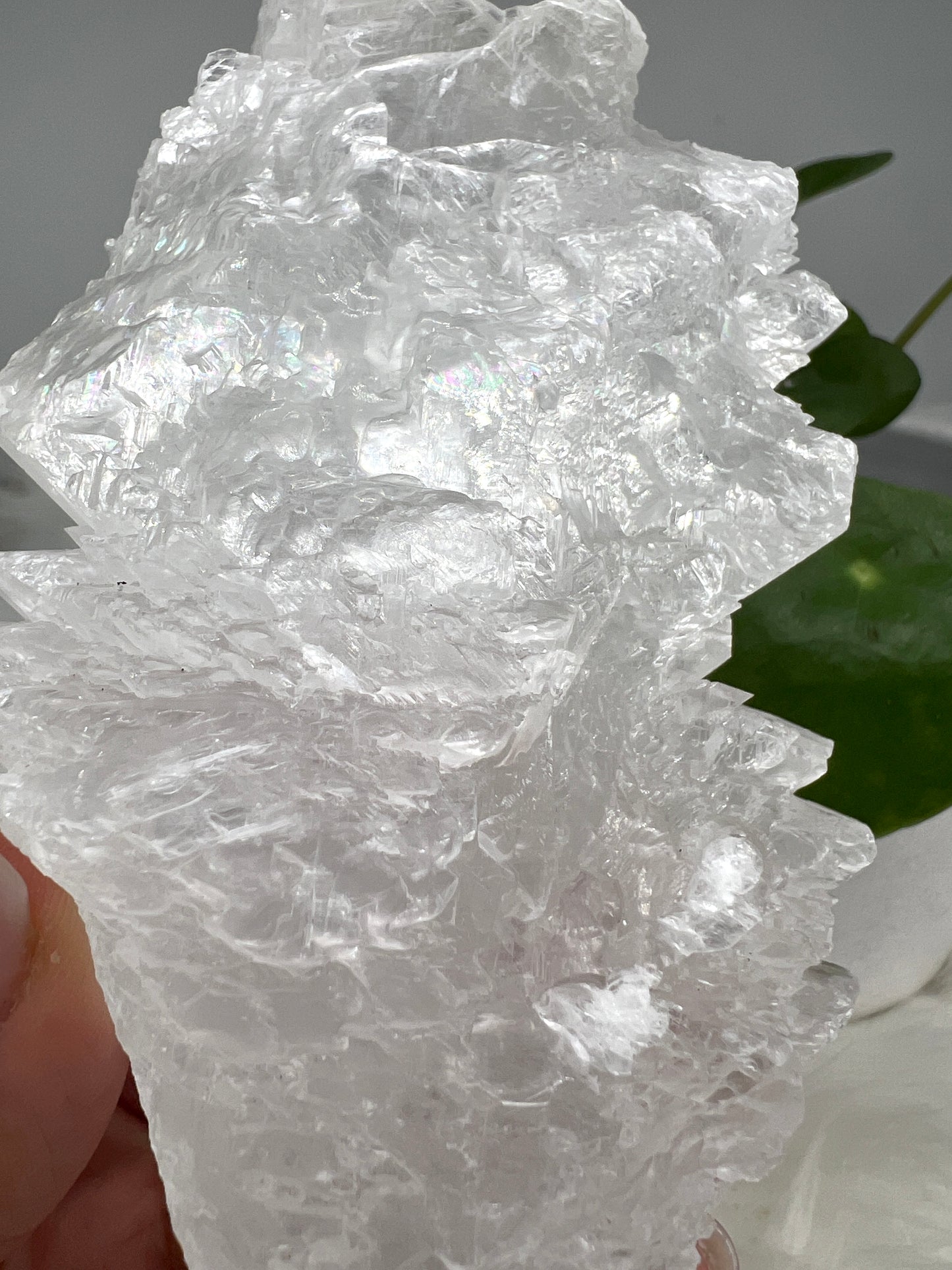 Fishtail selenite