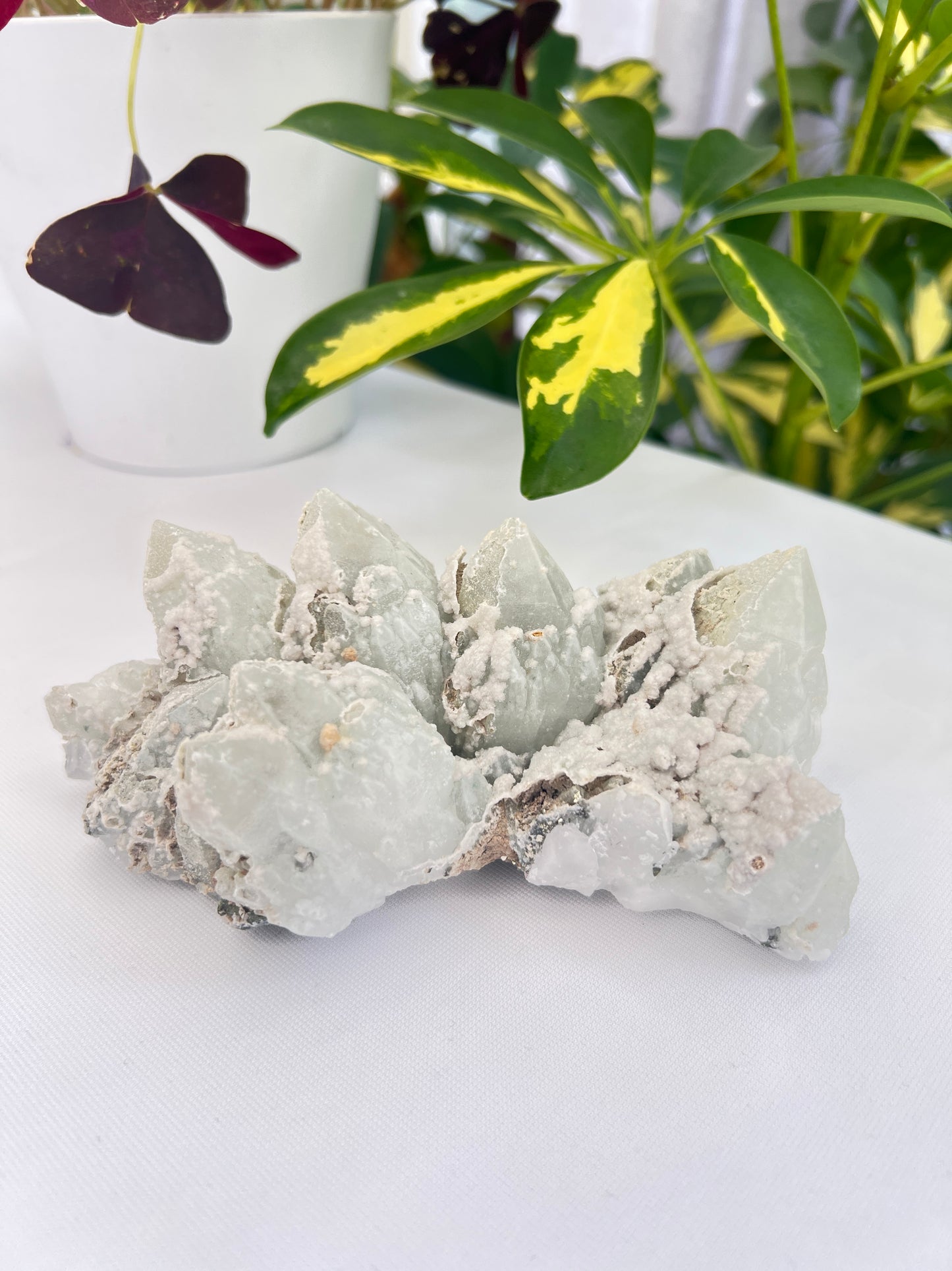 Chlorite Quartz, Pyrite and Calcite Cluster