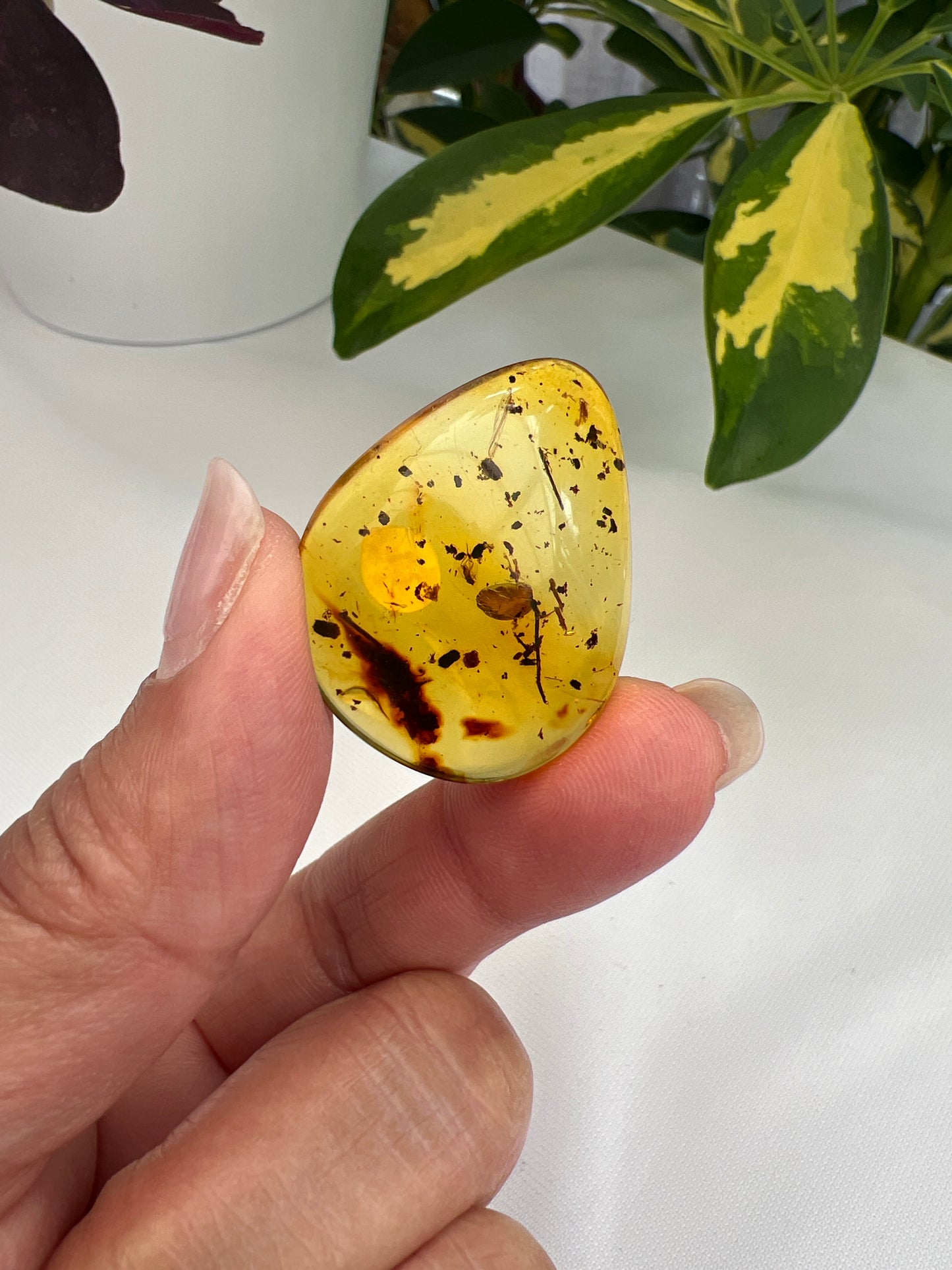 Amber (Hand Polished)