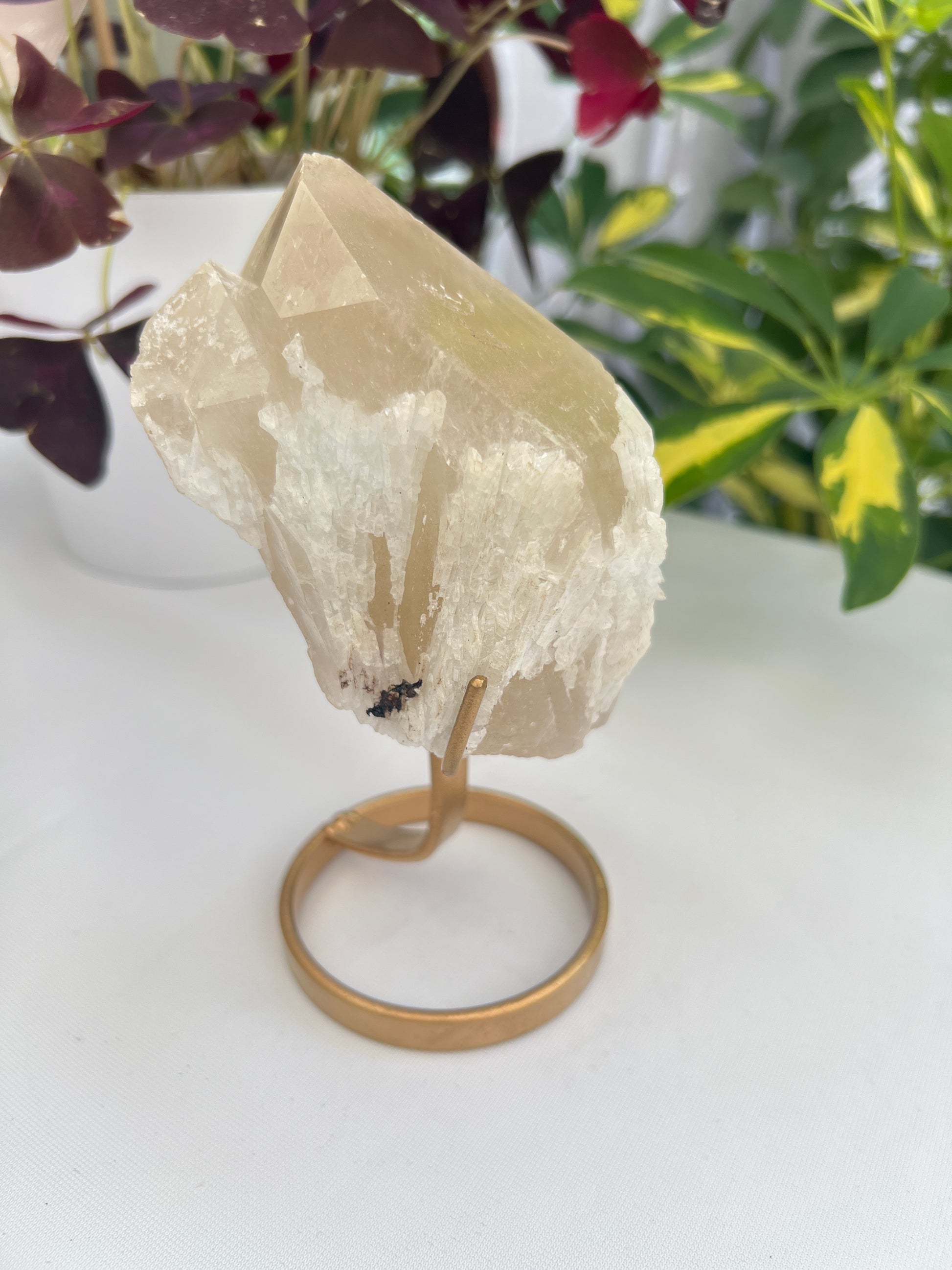 A natural unpolished citrine crystal with a gold stand, displaying pale honey to golden hues with albite and a hint of a phantom.