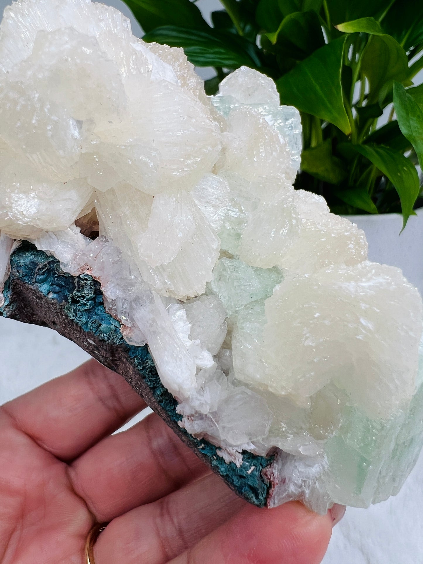 Mint Green Apophyllite and Stilbite Flowers