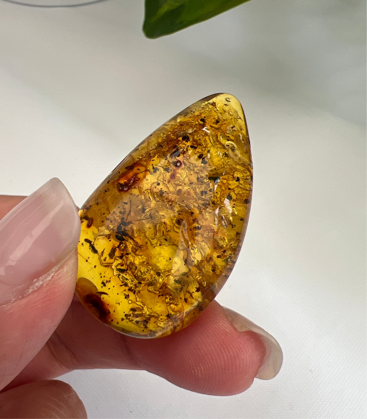 Amber (Hand Polished)
