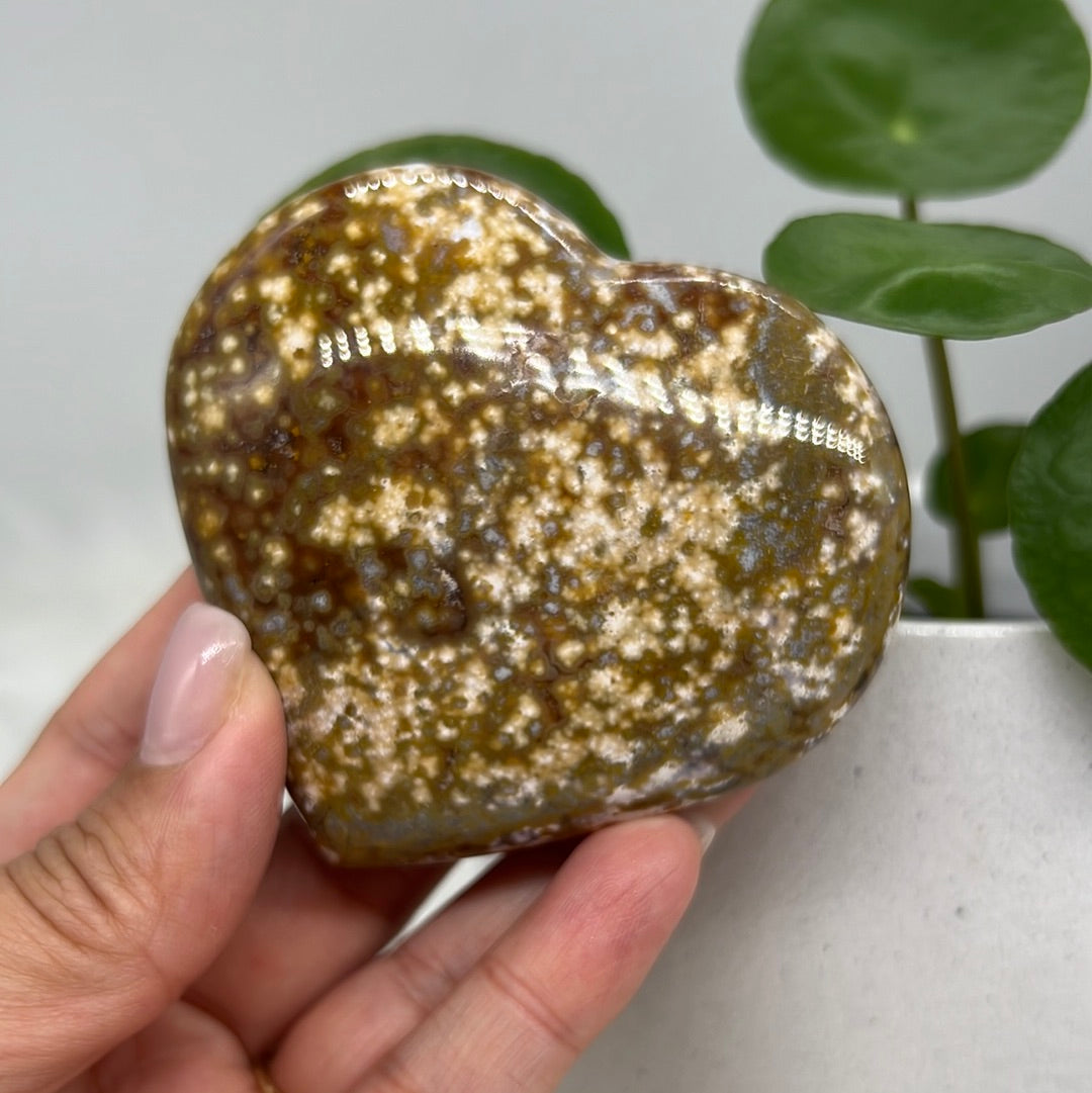 Ocean Jasper Heart