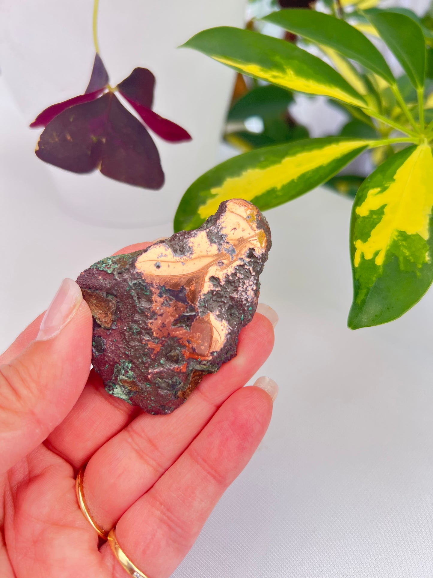 Part polished copper with cuprite from Michigan