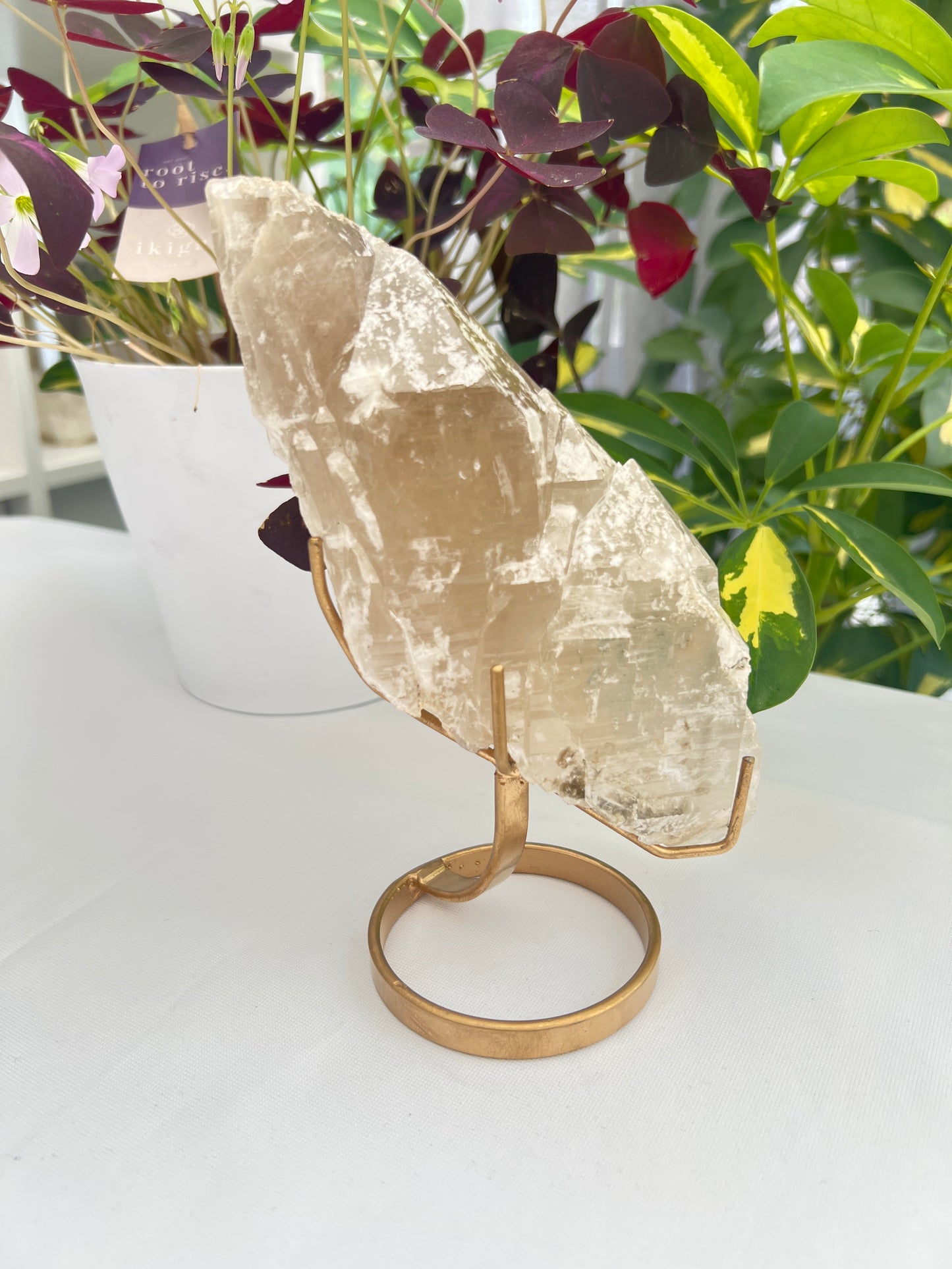 A natural unpolished citrine crystal with a gold stand, displaying pale honey to golden hues with mica and some albite