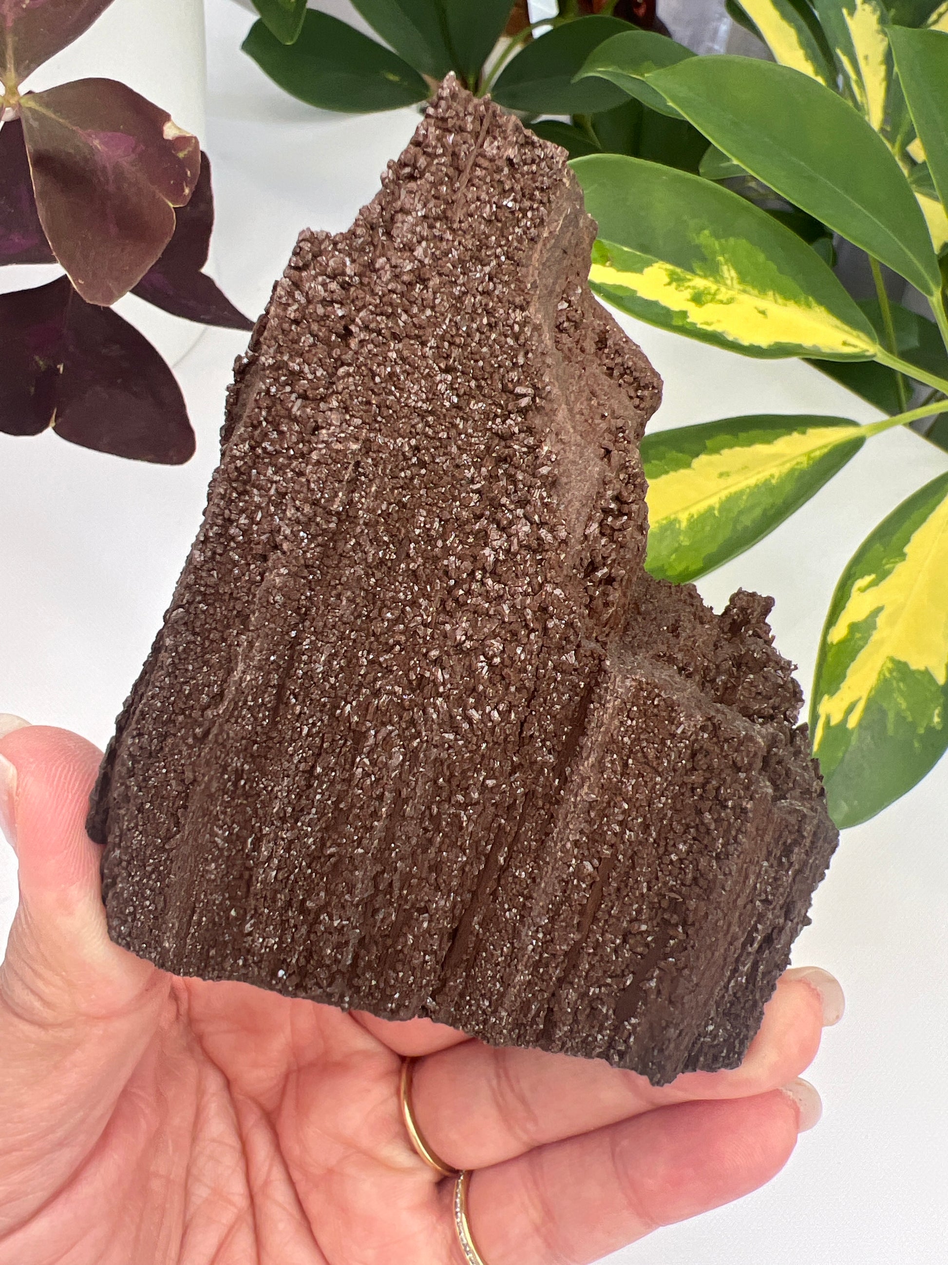 Permineralised fossil wood with micro quartz crystals