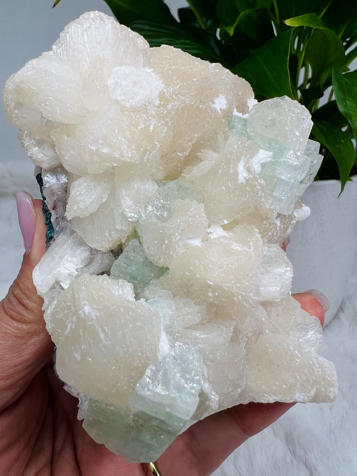 Mint Green Apophyllite and Stilbite Flowers