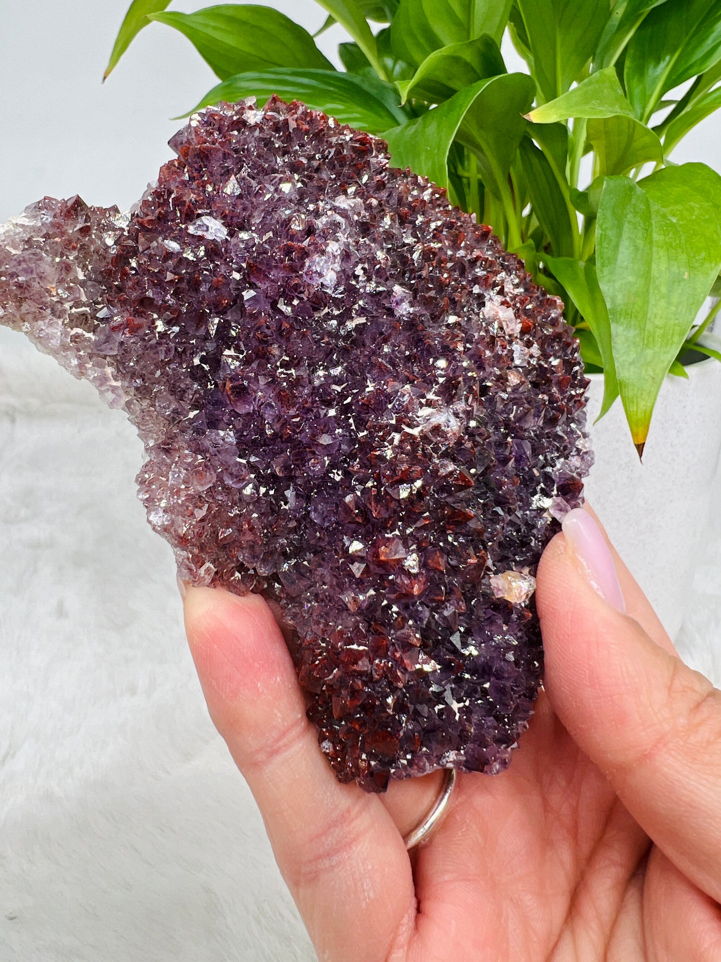 Thunder Bay Amethyst