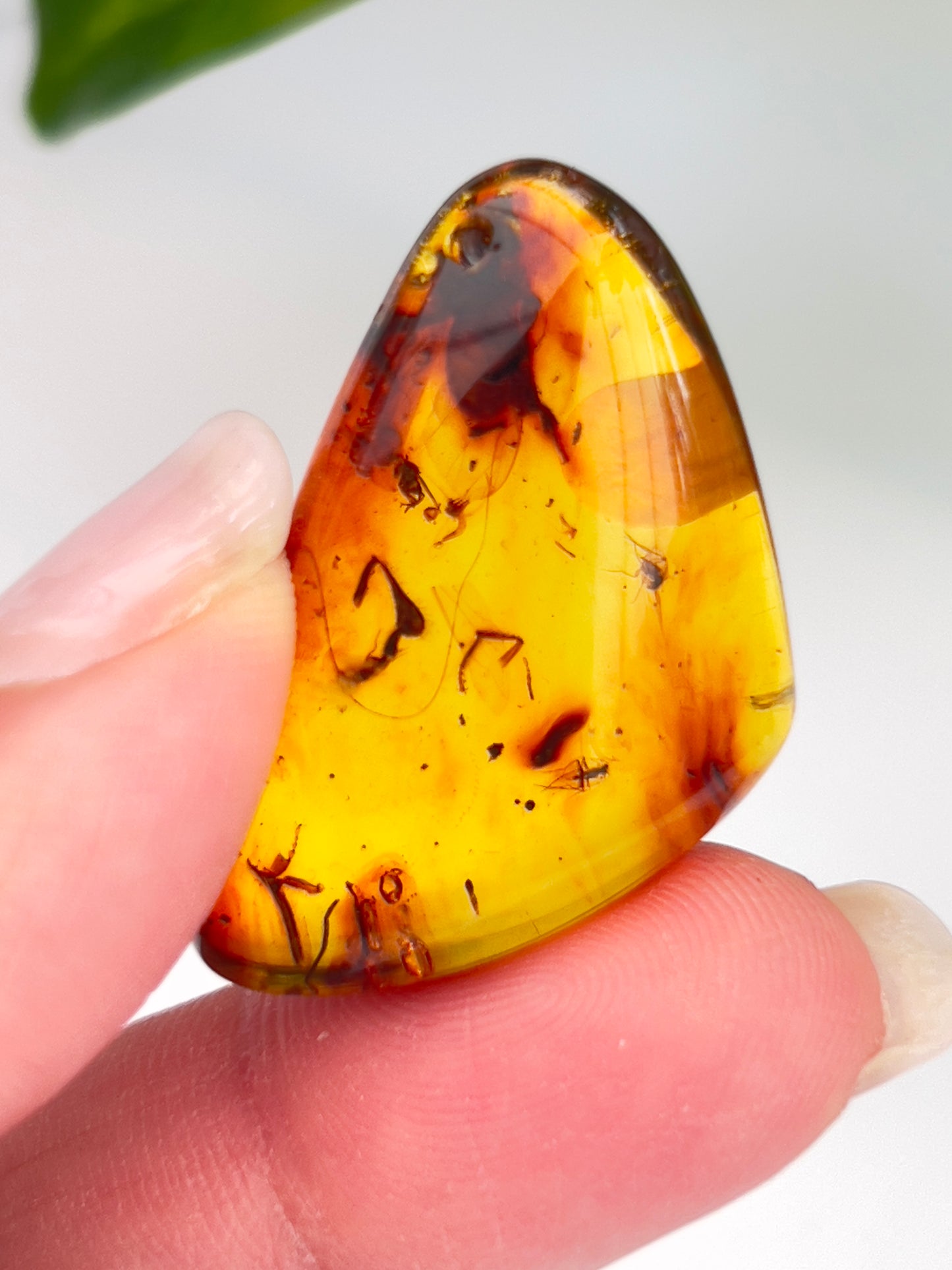 Amber (Hand Polished)