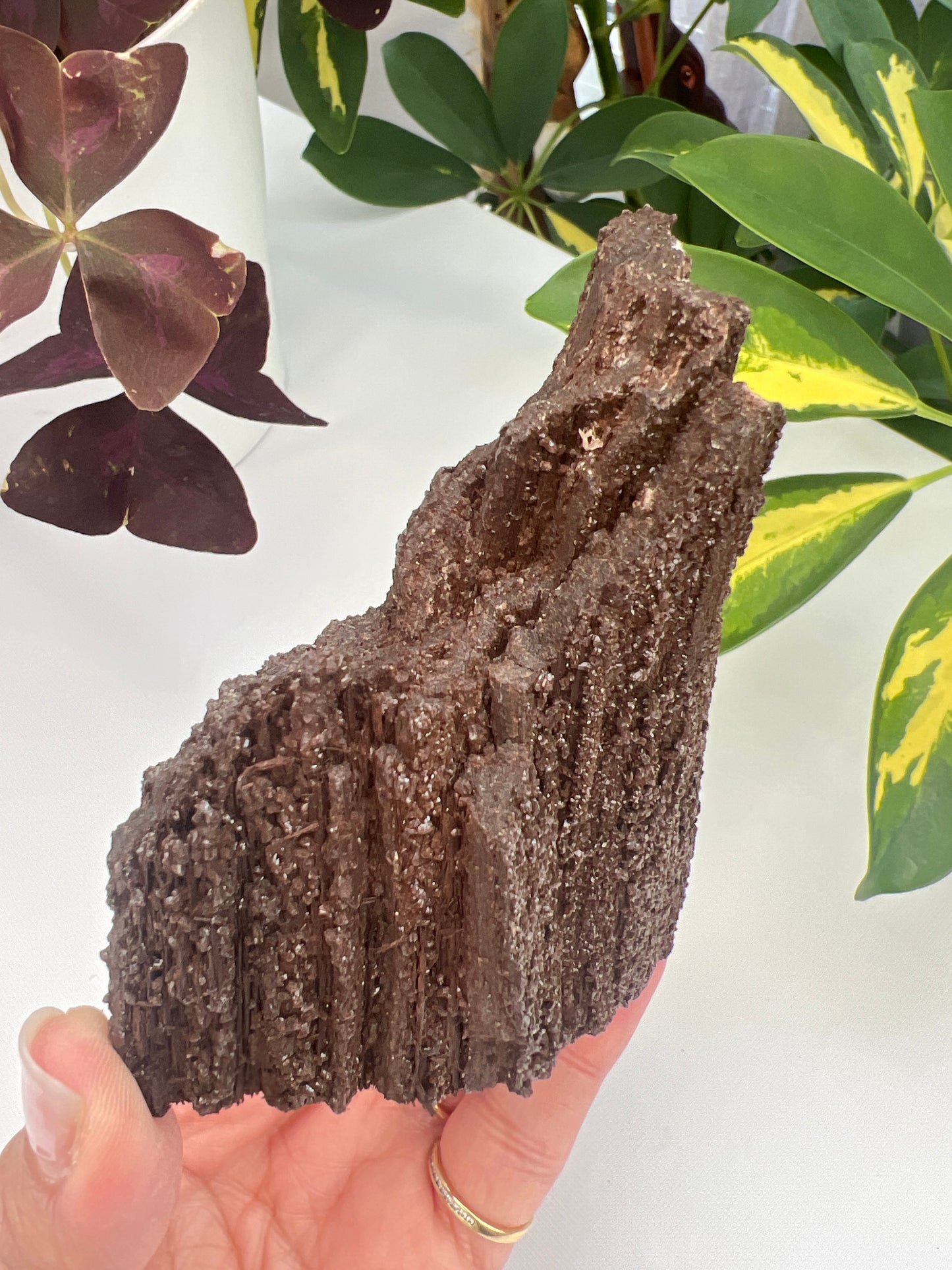 Permineralised fossil wood with micro quartz crystals