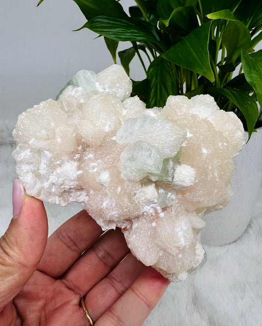 Mint Green Apophyllite and Stilbite Flowers