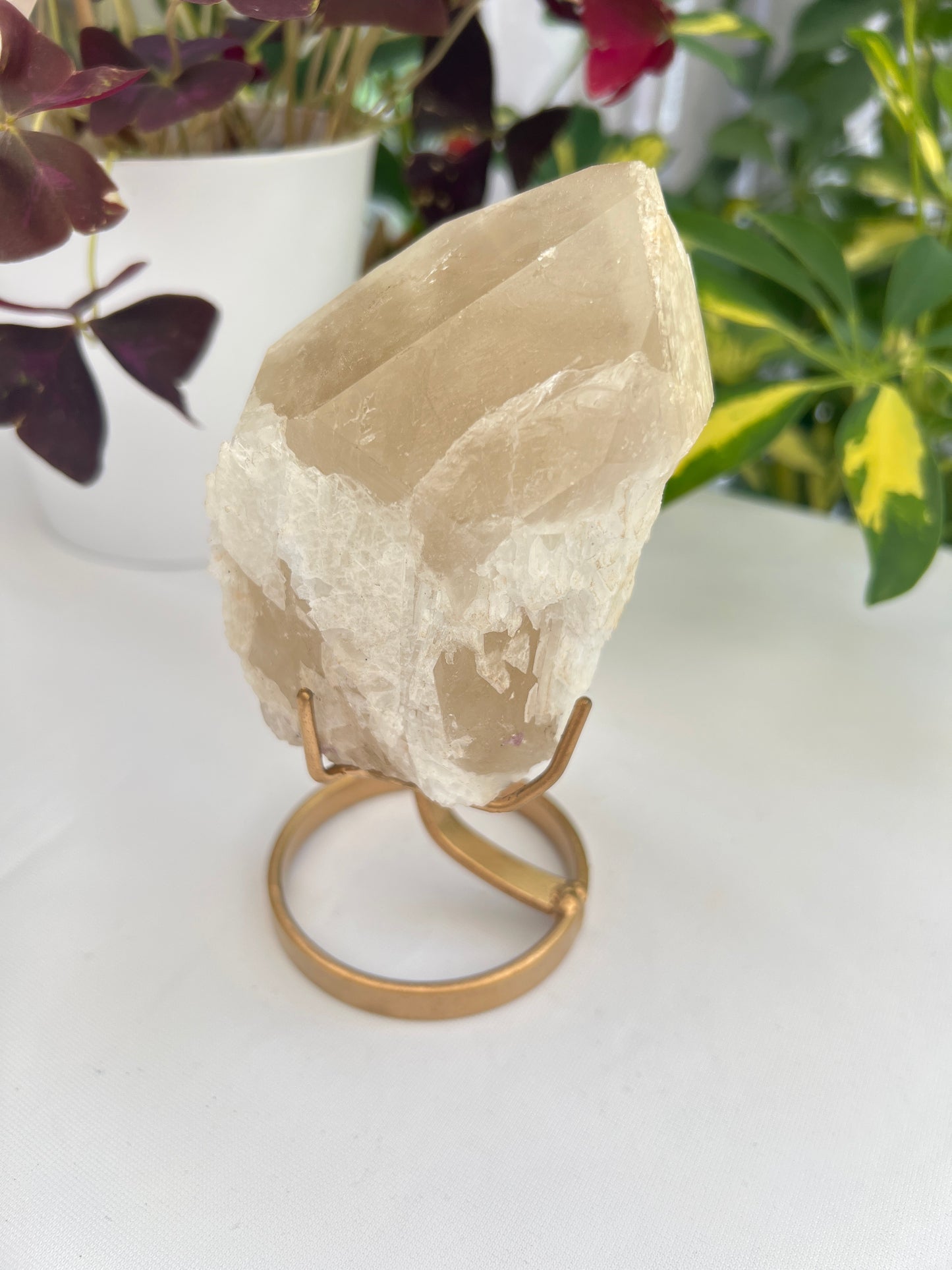 A natural unpolished citrine crystal with a gold stand, displaying pale honey to golden hues with albite and a hint of a phantom.