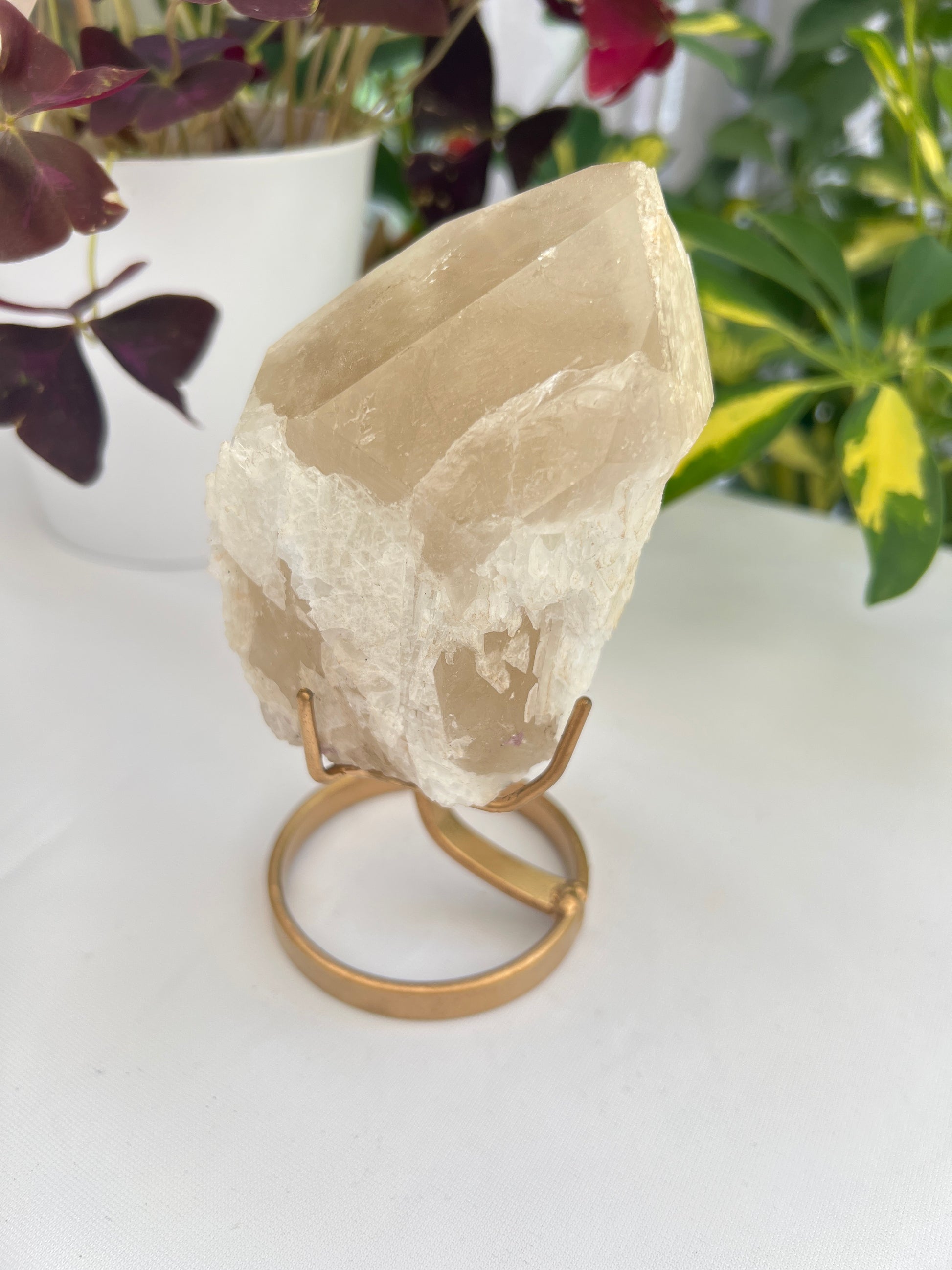 A natural unpolished citrine crystal with a gold stand, displaying pale honey to golden hues with albite and a hint of a phantom.