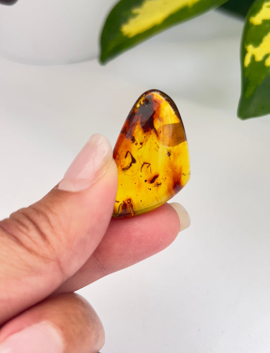 Amber (Hand Polished)
