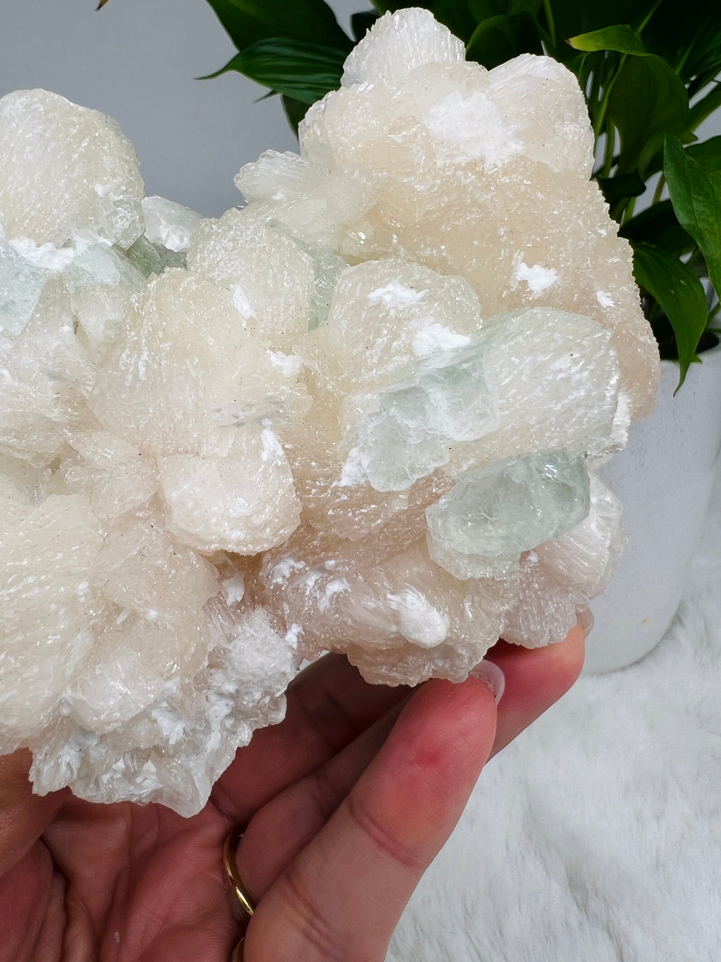 Mint Green Apophyllite and Stilbite Flowers