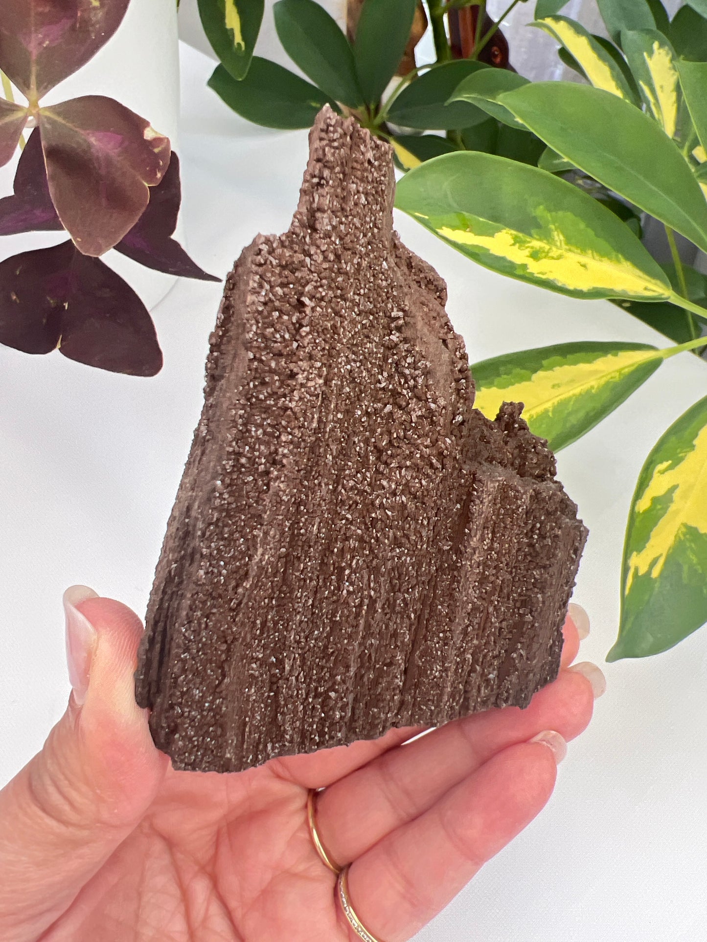 Permineralised fossil wood with micro quartz crystals