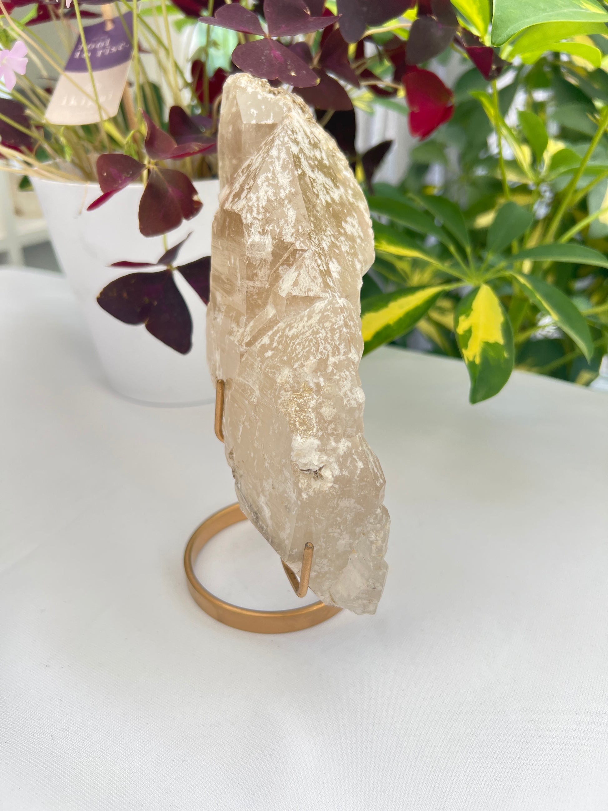 A natural unpolished citrine crystal with a gold stand, displaying pale honey to golden hues with mica and some albite