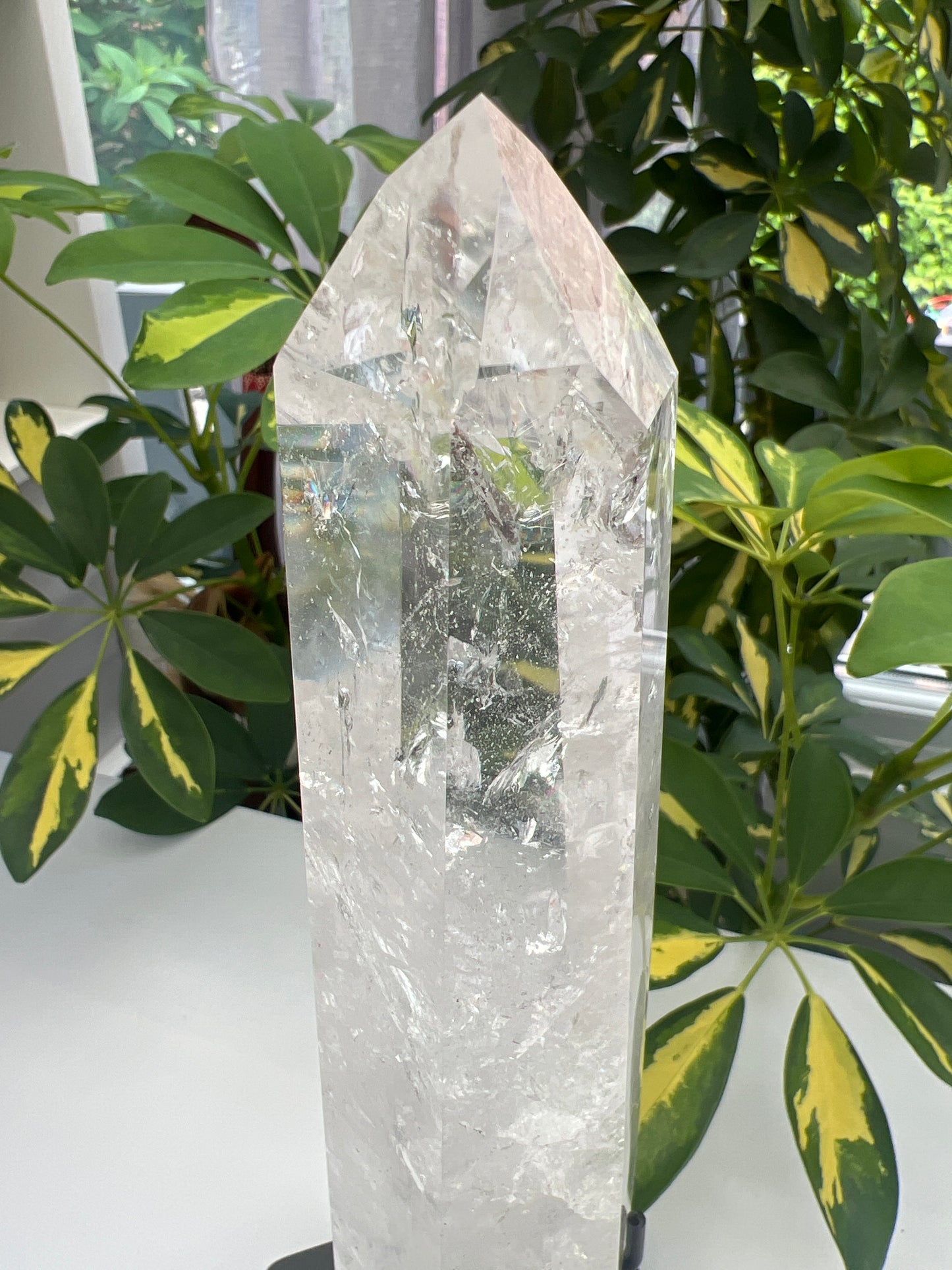 Clear polished lemurian quartz sceptre with black stand. 