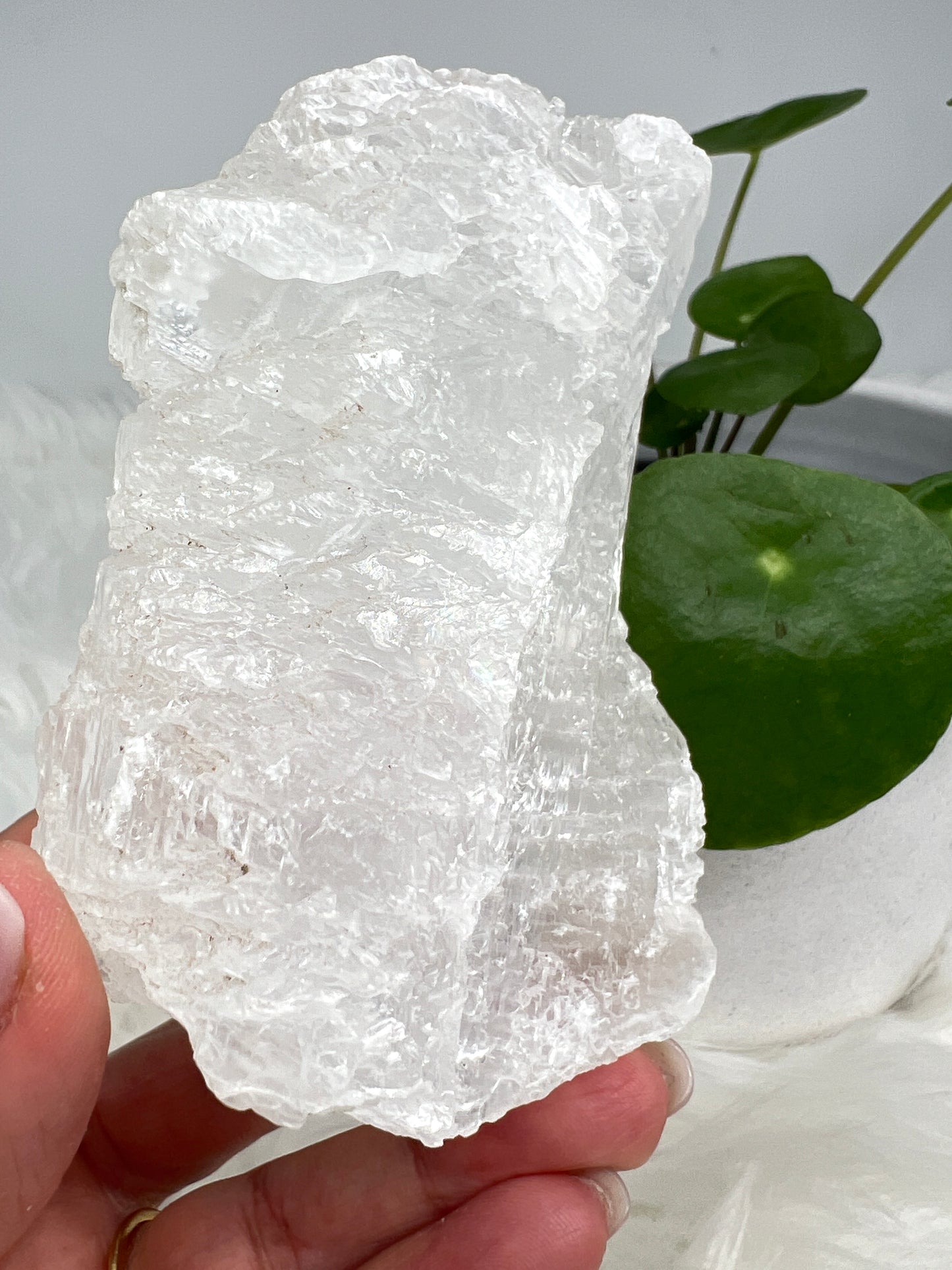 Fishtail selenite