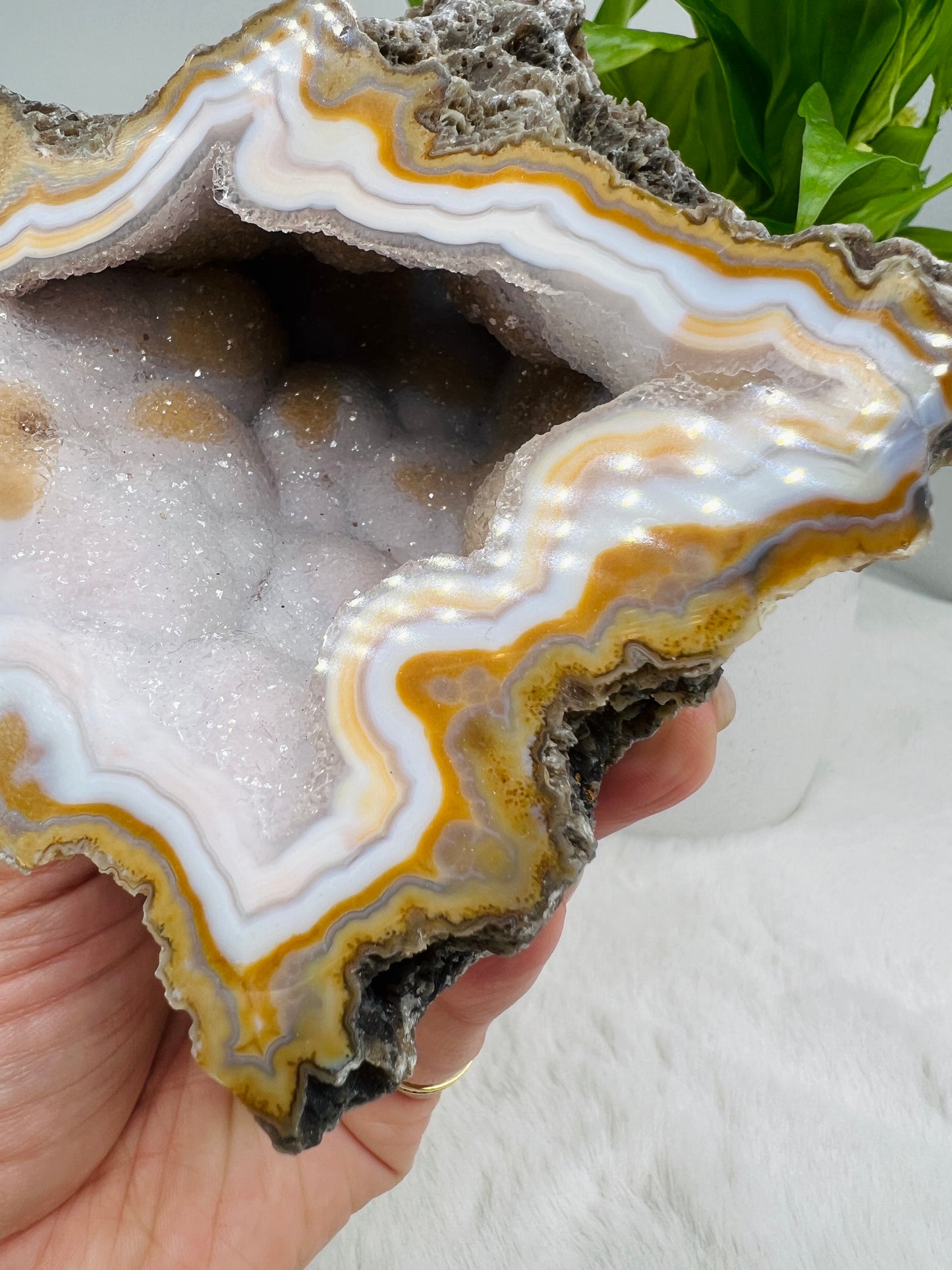 Lilac-Blue Agate Geode