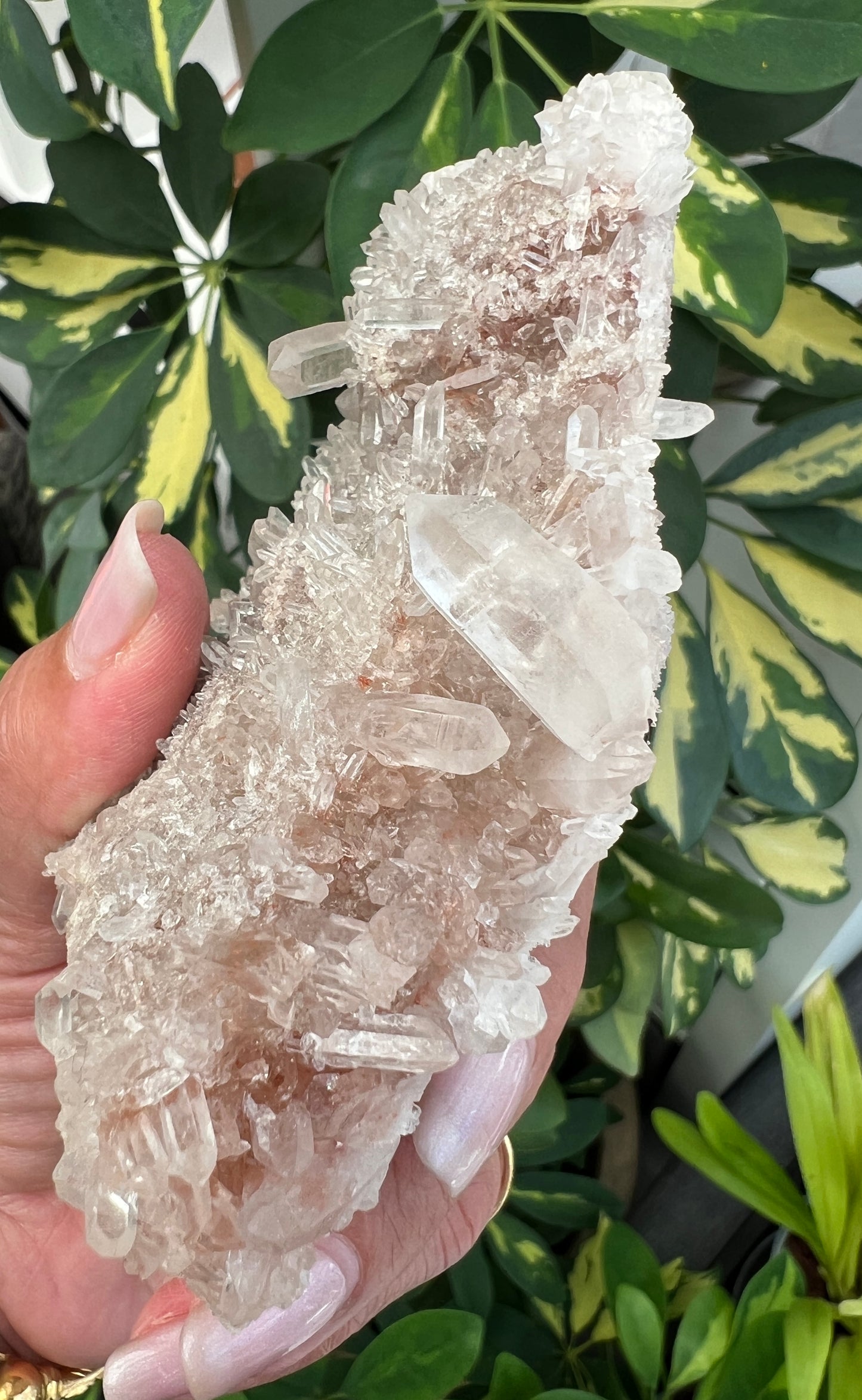 Pink Himalayan Samadhi Quartz