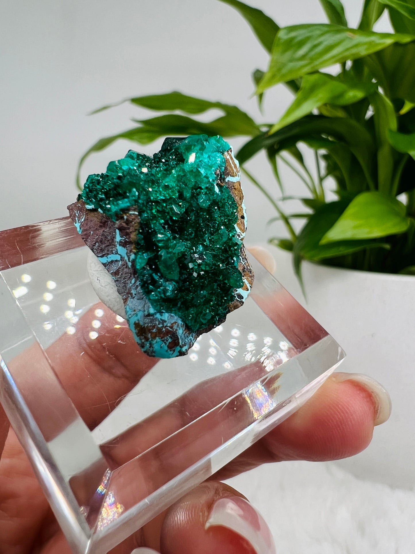 Dioptase on Plancheite