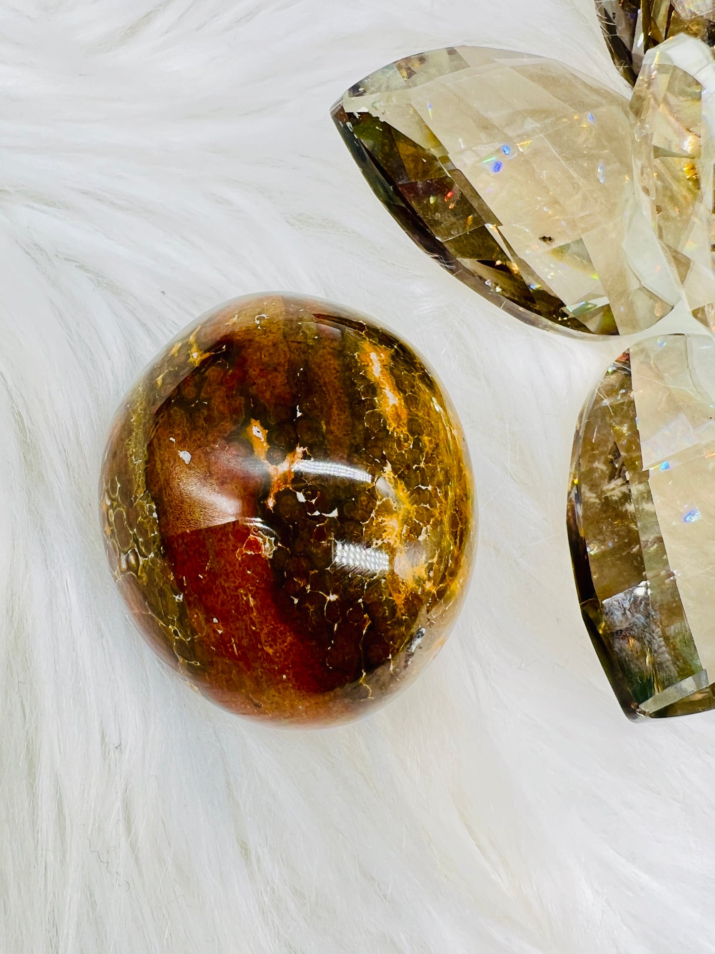 Ocean Jasper Palmstone