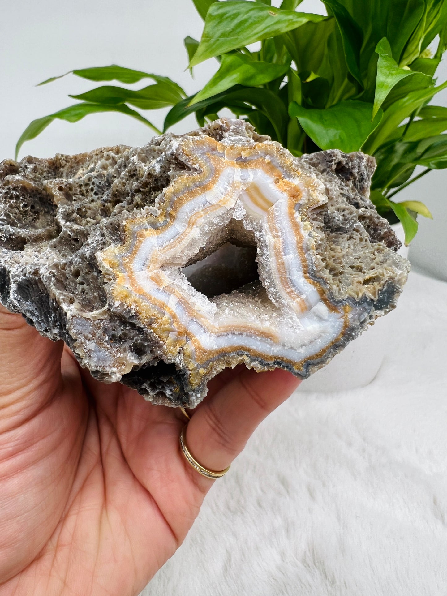 Lilac-Blue Agate Geode