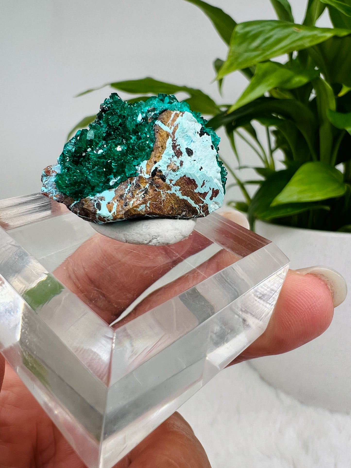 Dioptase on Plancheite