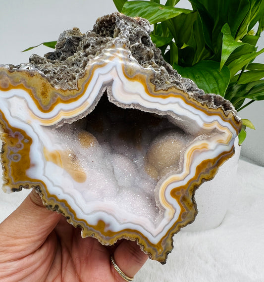 Lilac-Blue Agate Geode