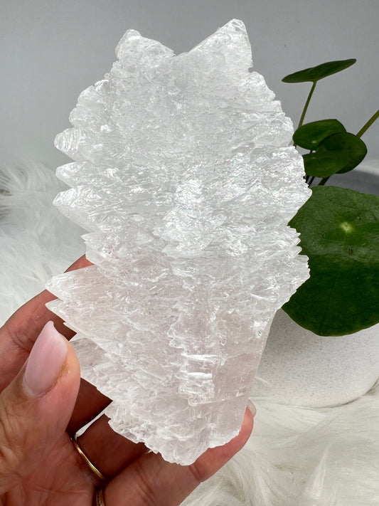 Fishtail selenite