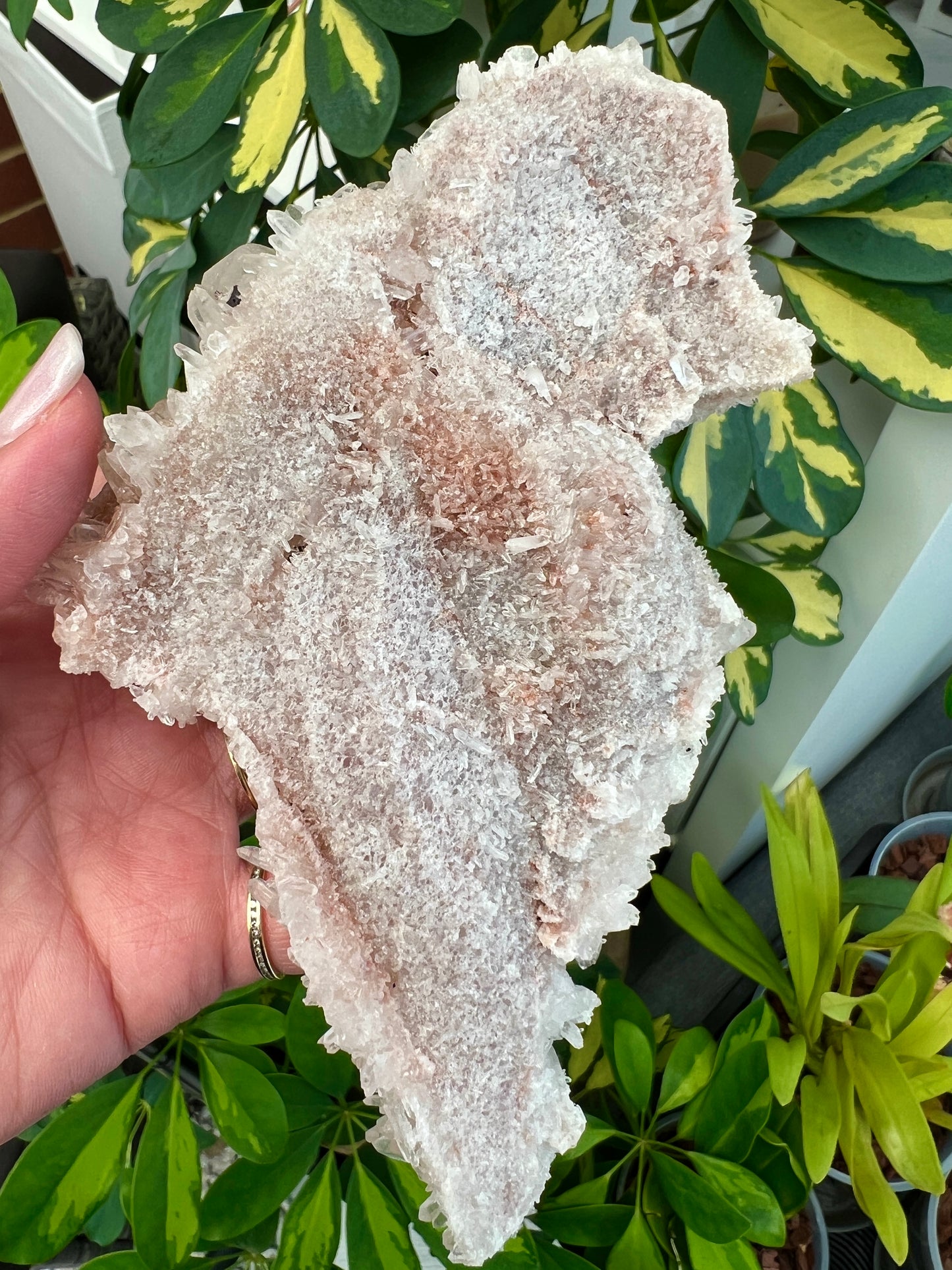 Pink Himalayan Samadhi Quartz